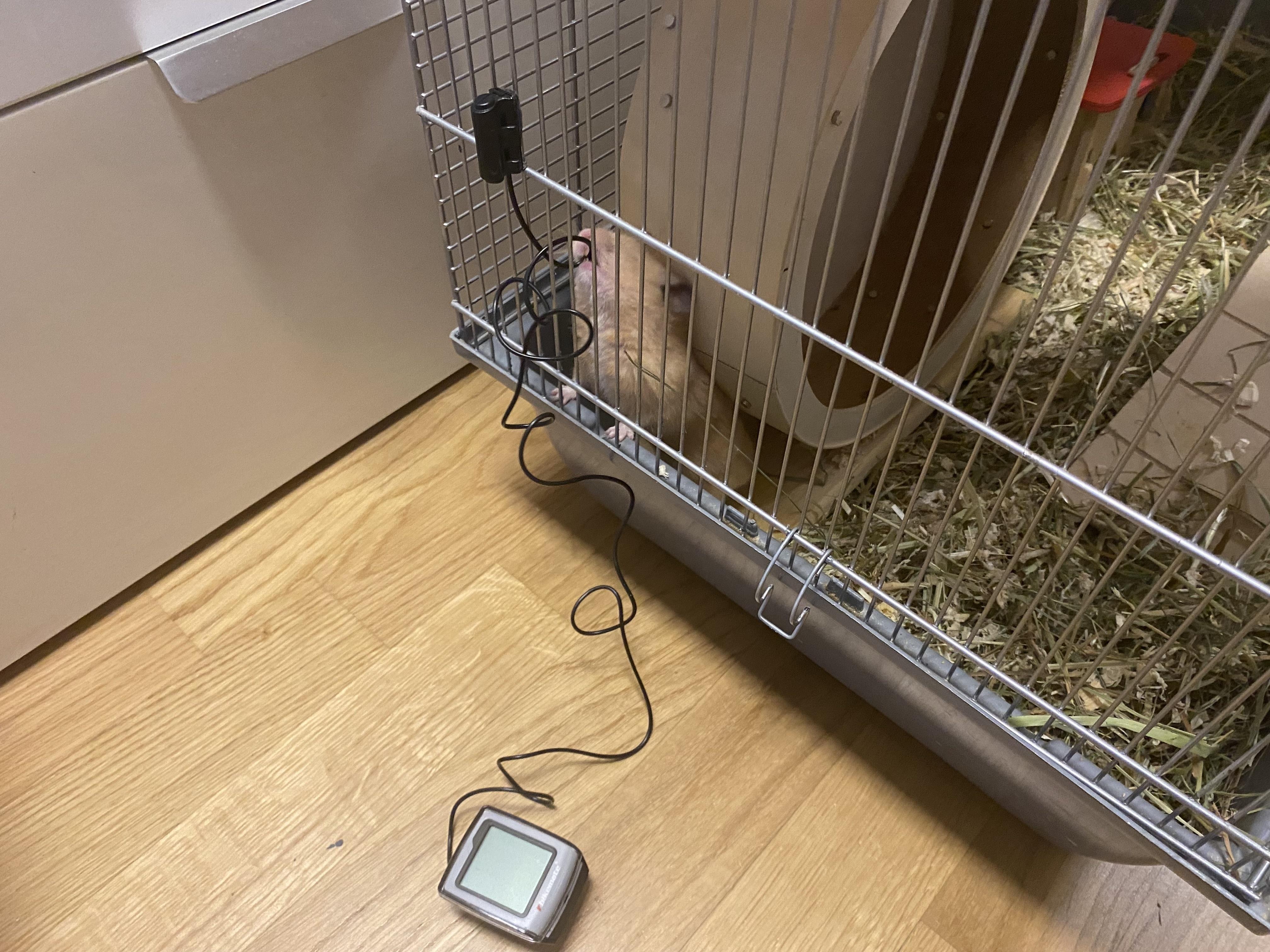 Hamster Wheel Tracker 7 Steps Instructables - Premium Landscape Background Gallery - 4K