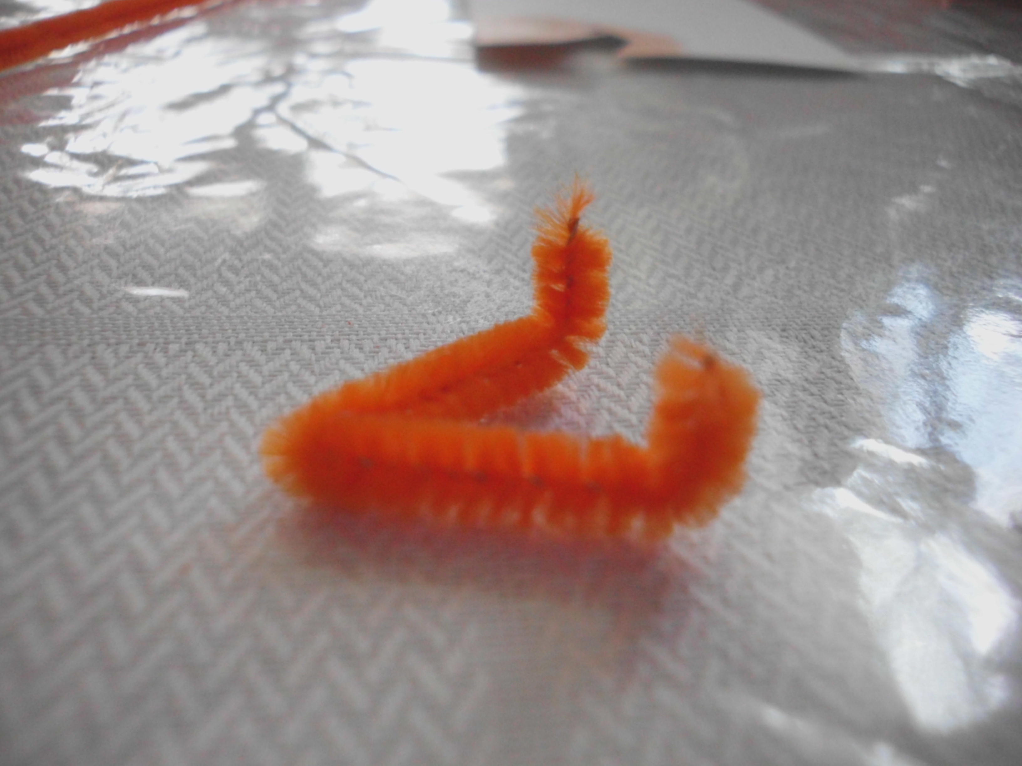 Hide And Go Peep 4 Steps Instructables - Vintage Designs - Amazing 8K Collection