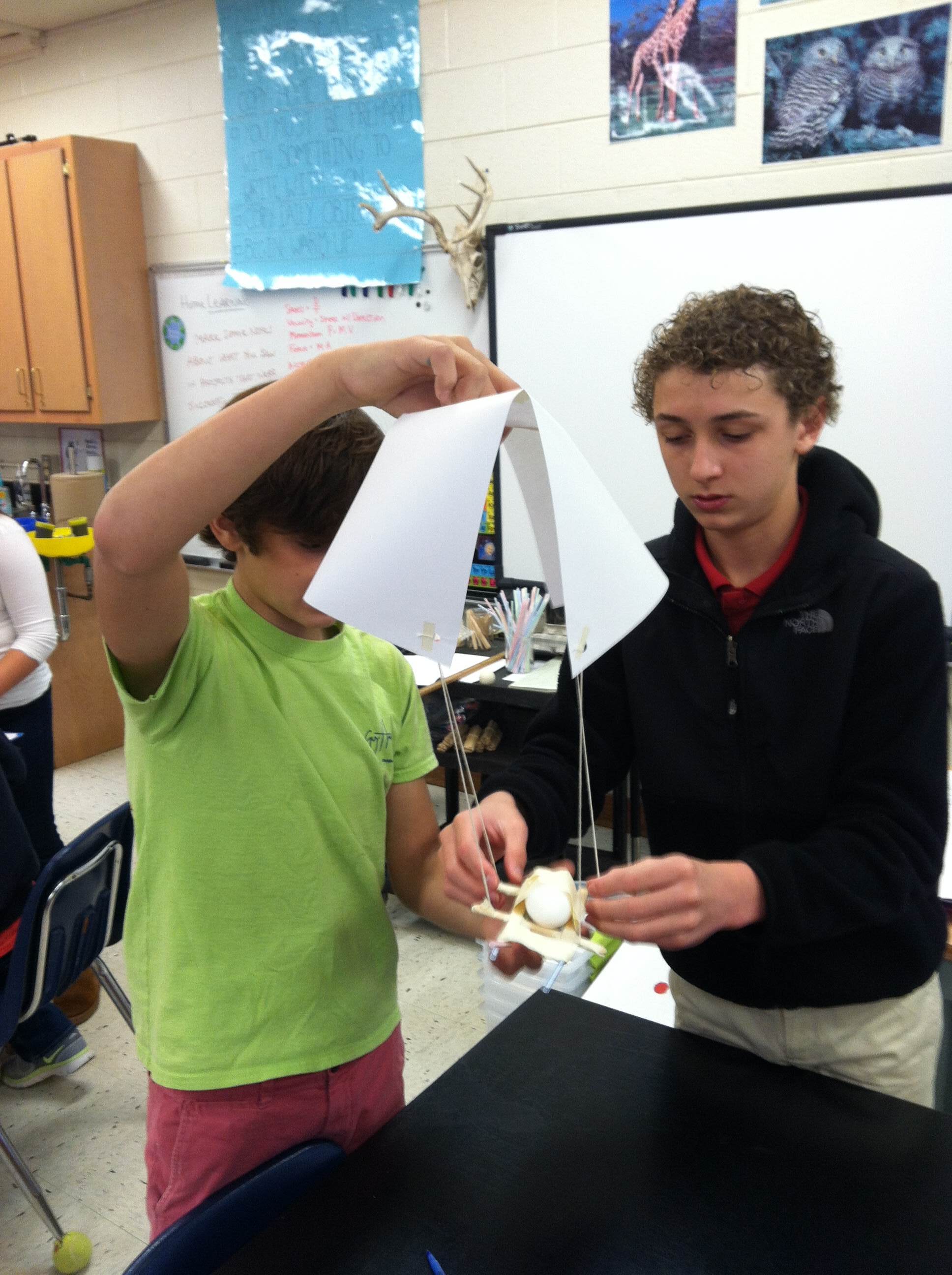 Weird Science Egg Drop Physics - Best Ocean Designs in 4K