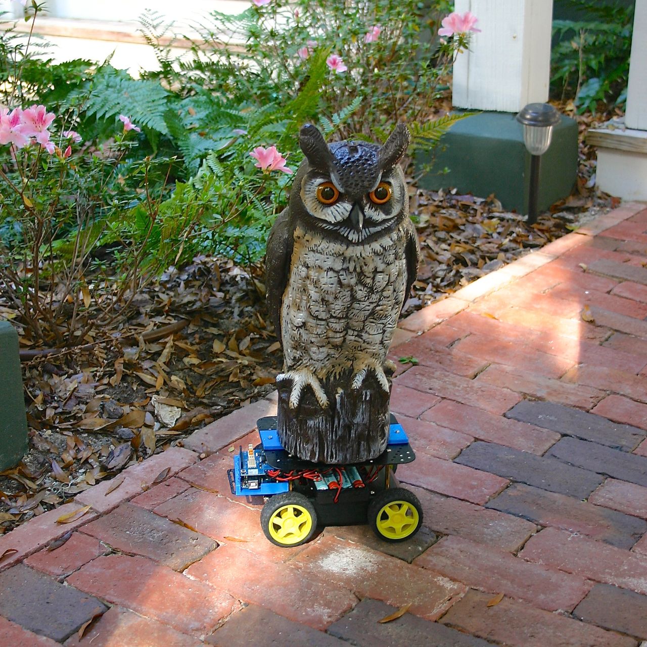 Robot Owl - Best Ocean Backgrounds in Full HD