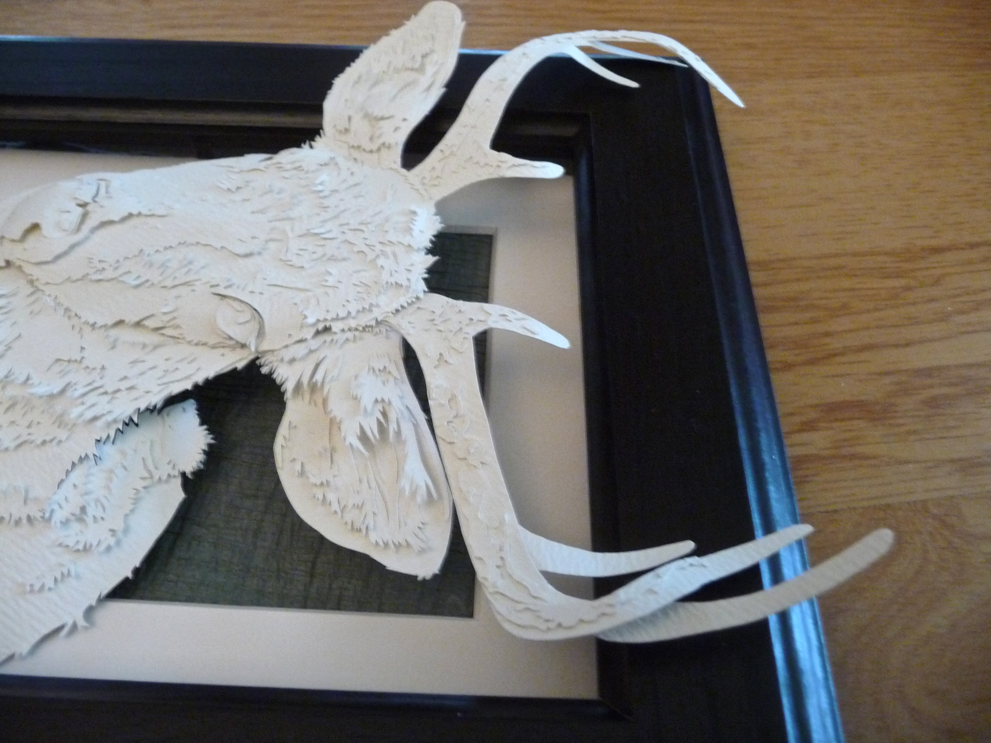 Layered Paper Css Tricks - Stunning Desktop Light Designs | Free Download