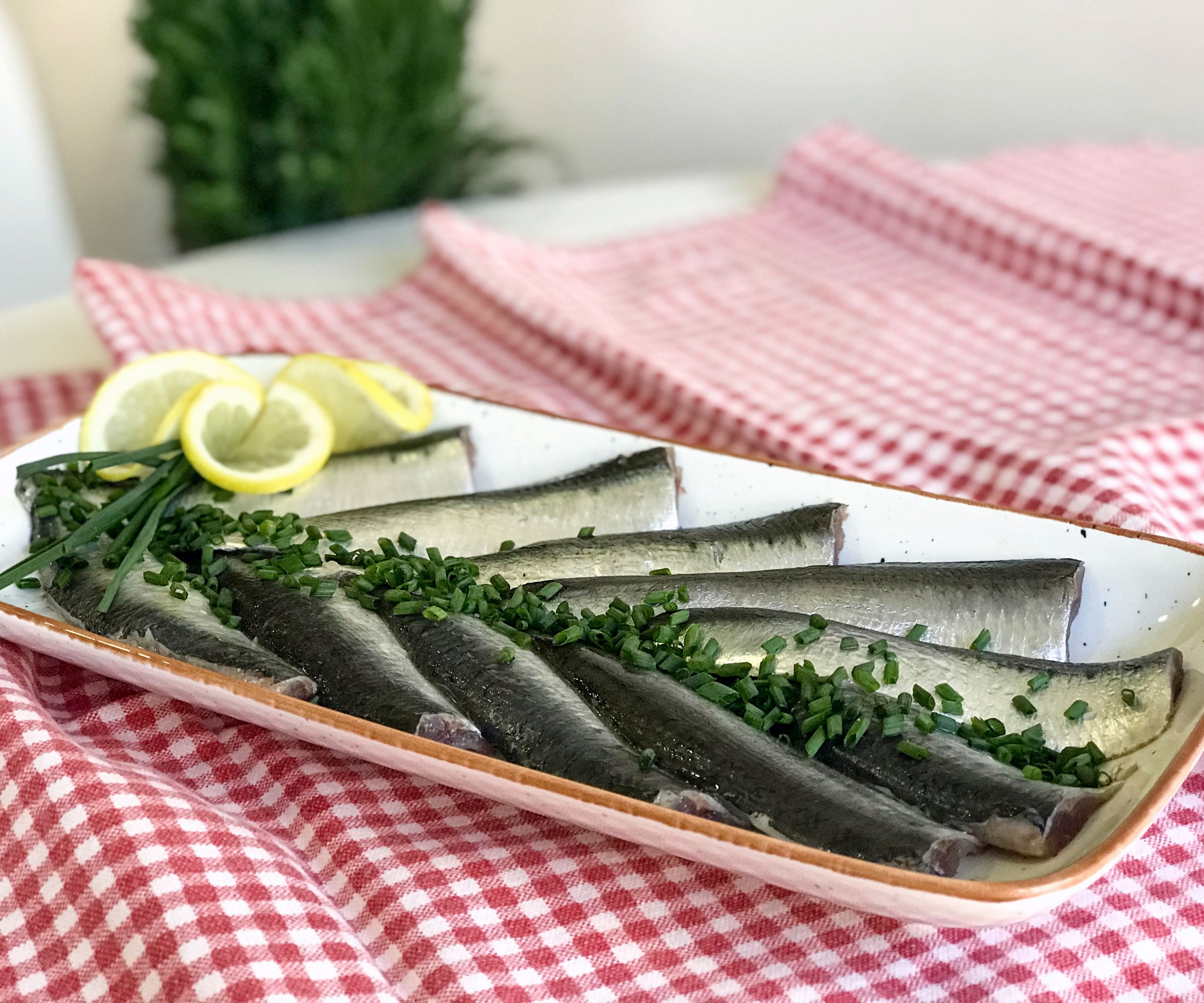 Lightly Salted Sardines 4 Steps With Pictures Instructables - Geometric Texture Collection - 8K Quality