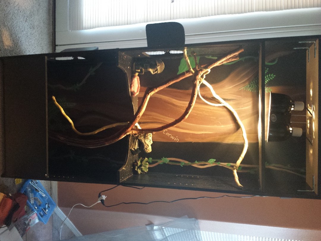 Terrible Lizard Bookshelf - Best Light Designs in Full HD