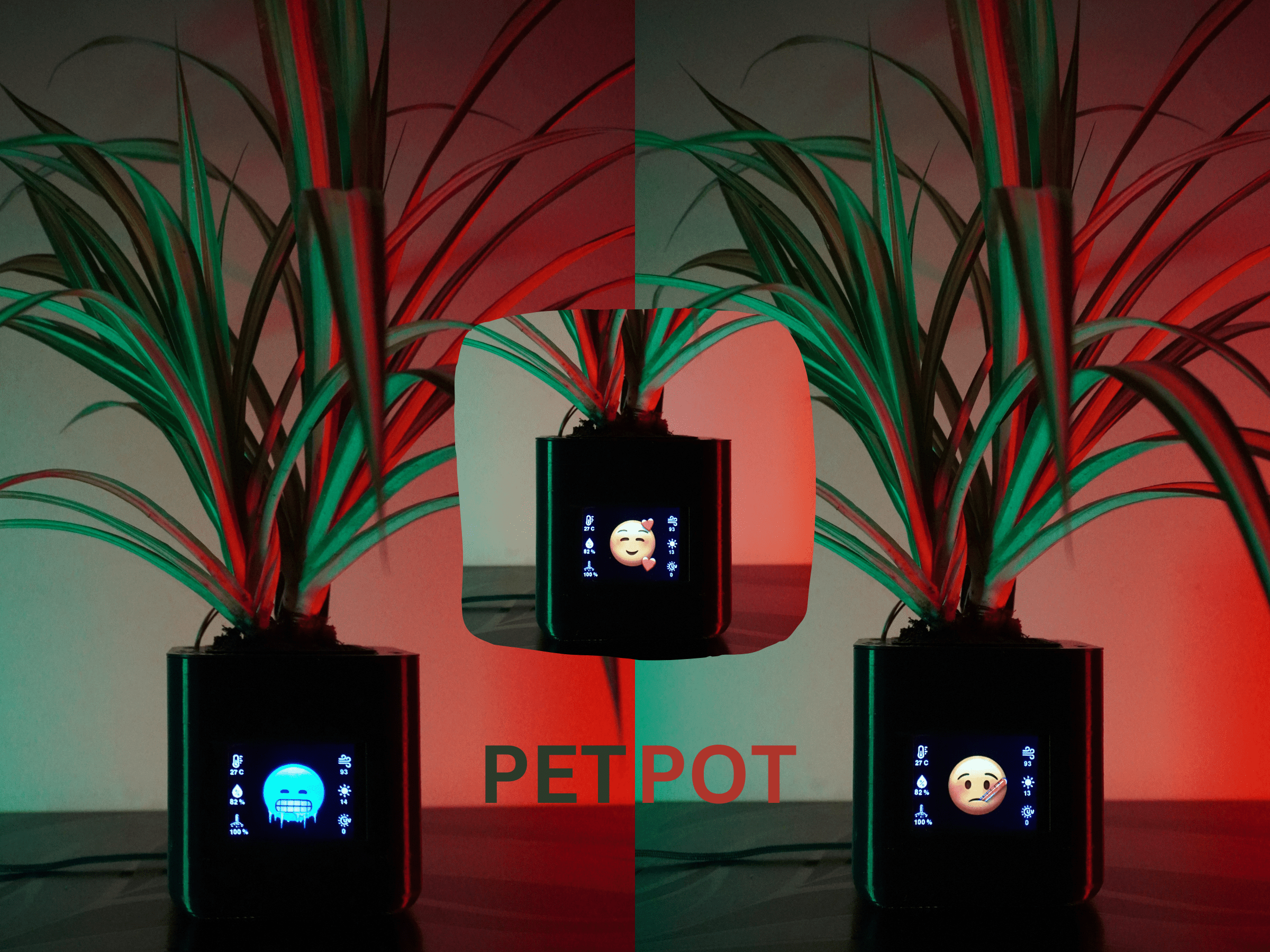 Pet Pot - Landscape Backgrounds - Classic 4K Collection