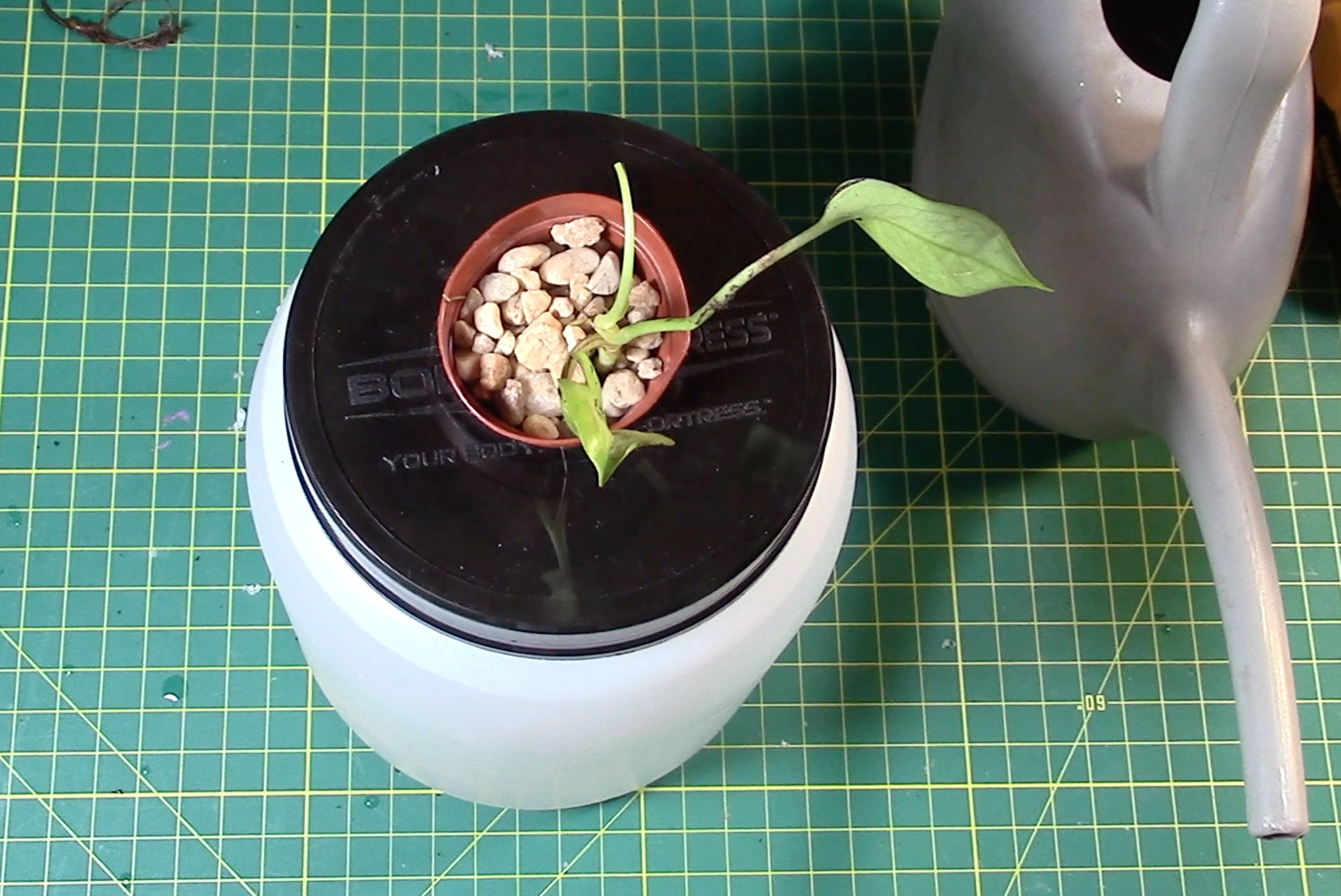 Kratky Method Hydroponics Tutorial 3 Steps Instructables - Classic Colorful Illustration - 8K