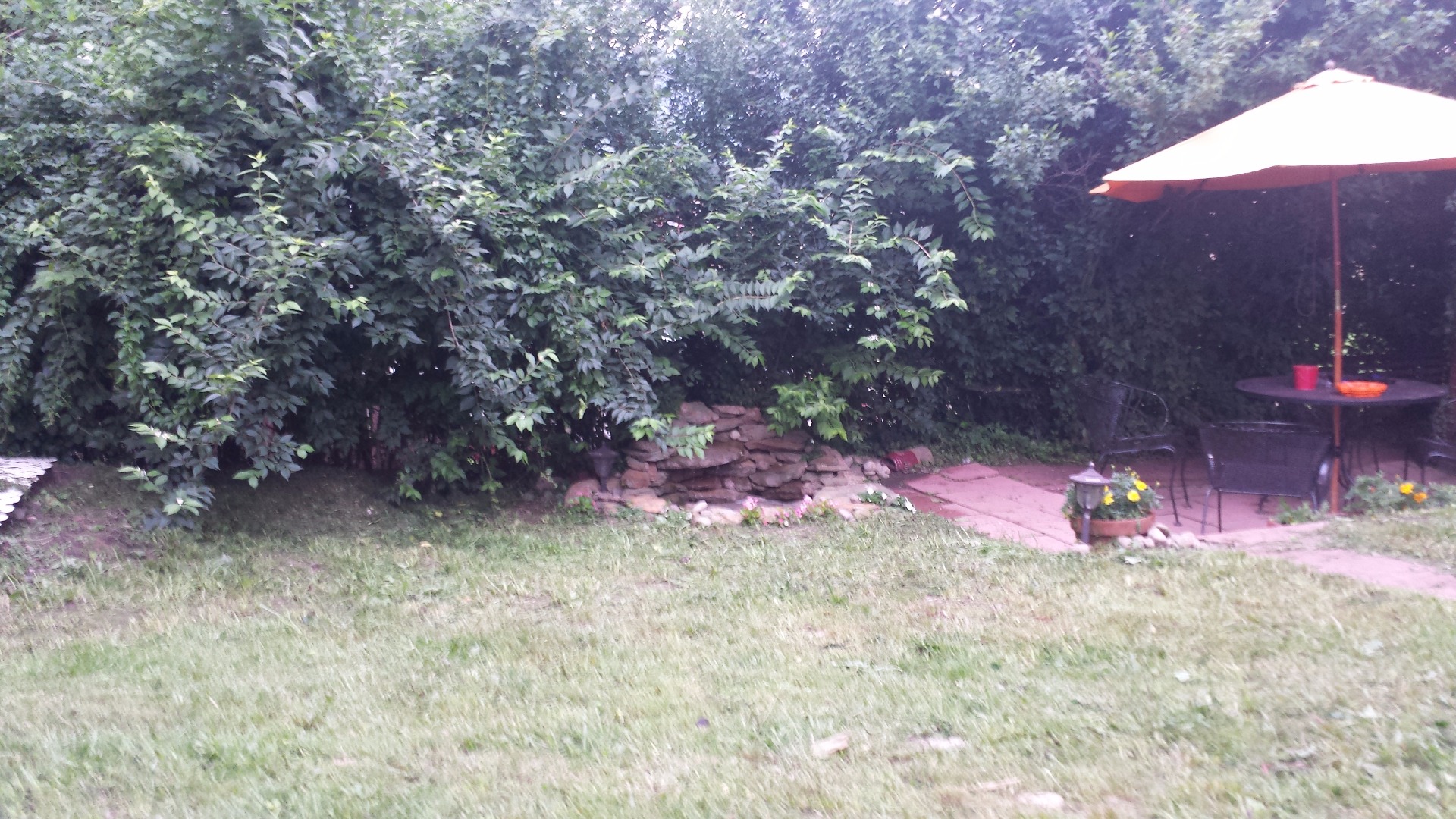 Pond Project 21 Steps Instructables - Colorful Wallpaper Collection - 4K Quality