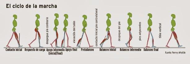 Lower Limb Exoskeleton 9 Steps Instructables - Abstract Designs - Classic Retina Collection