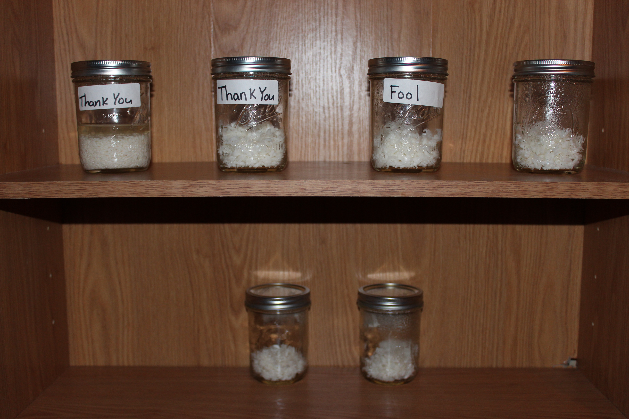 Where Do Your Thoughts Come From Try This Experiment - Download Artistic Minimal Illustration | Ultra HD