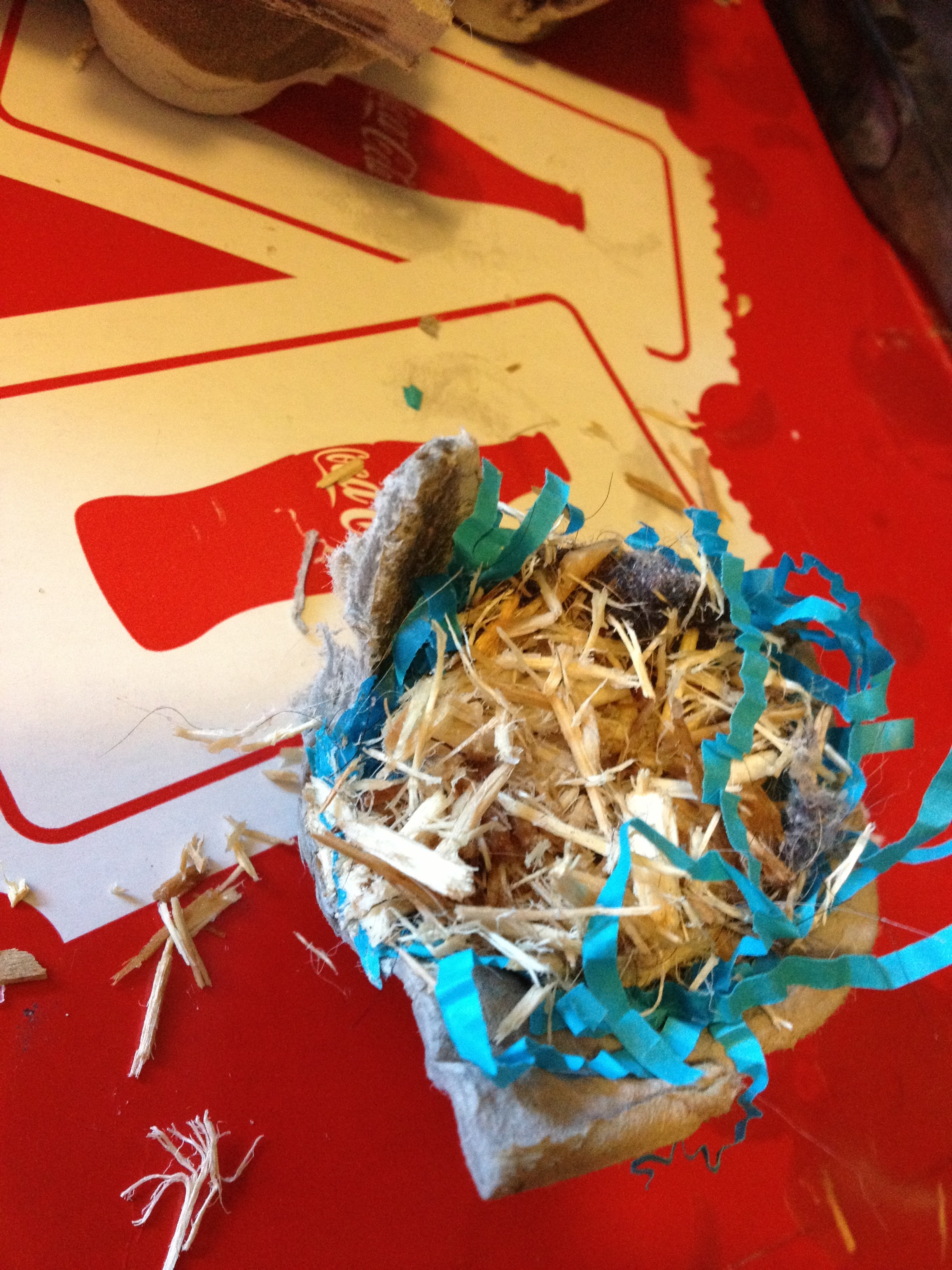 Simple Fire Starters 4 Steps Instructables - HD Landscape Pictures for Desktop