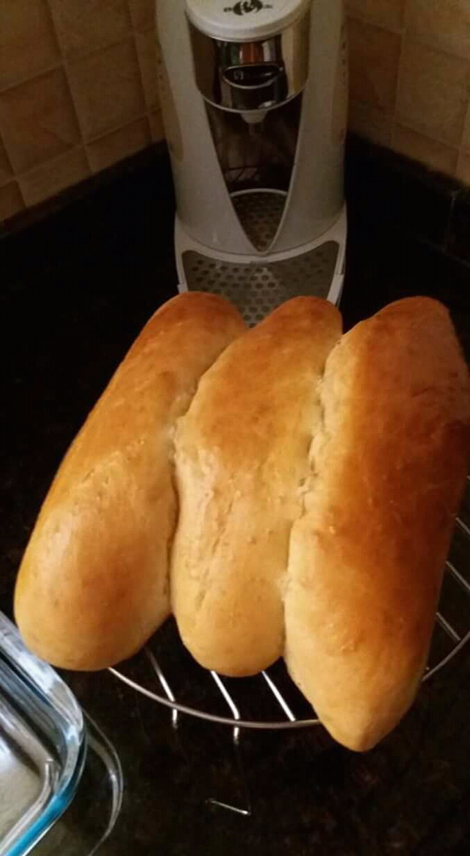 Proofing Your Yeast Instructables - Modern Desktop Gradient Images | Free Download