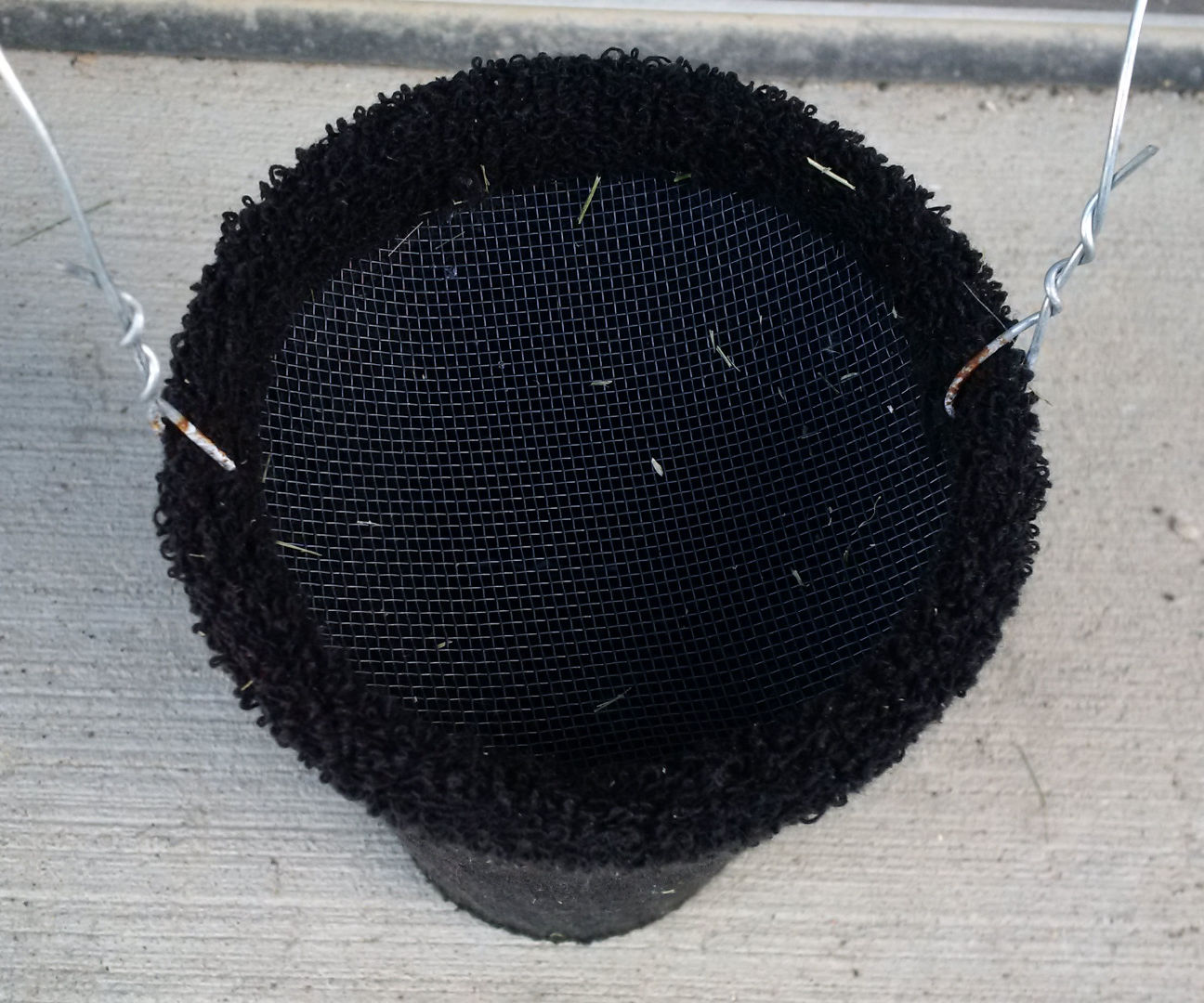 Mosquito Instructables - Desktop Nature Wallpapers for Desktop