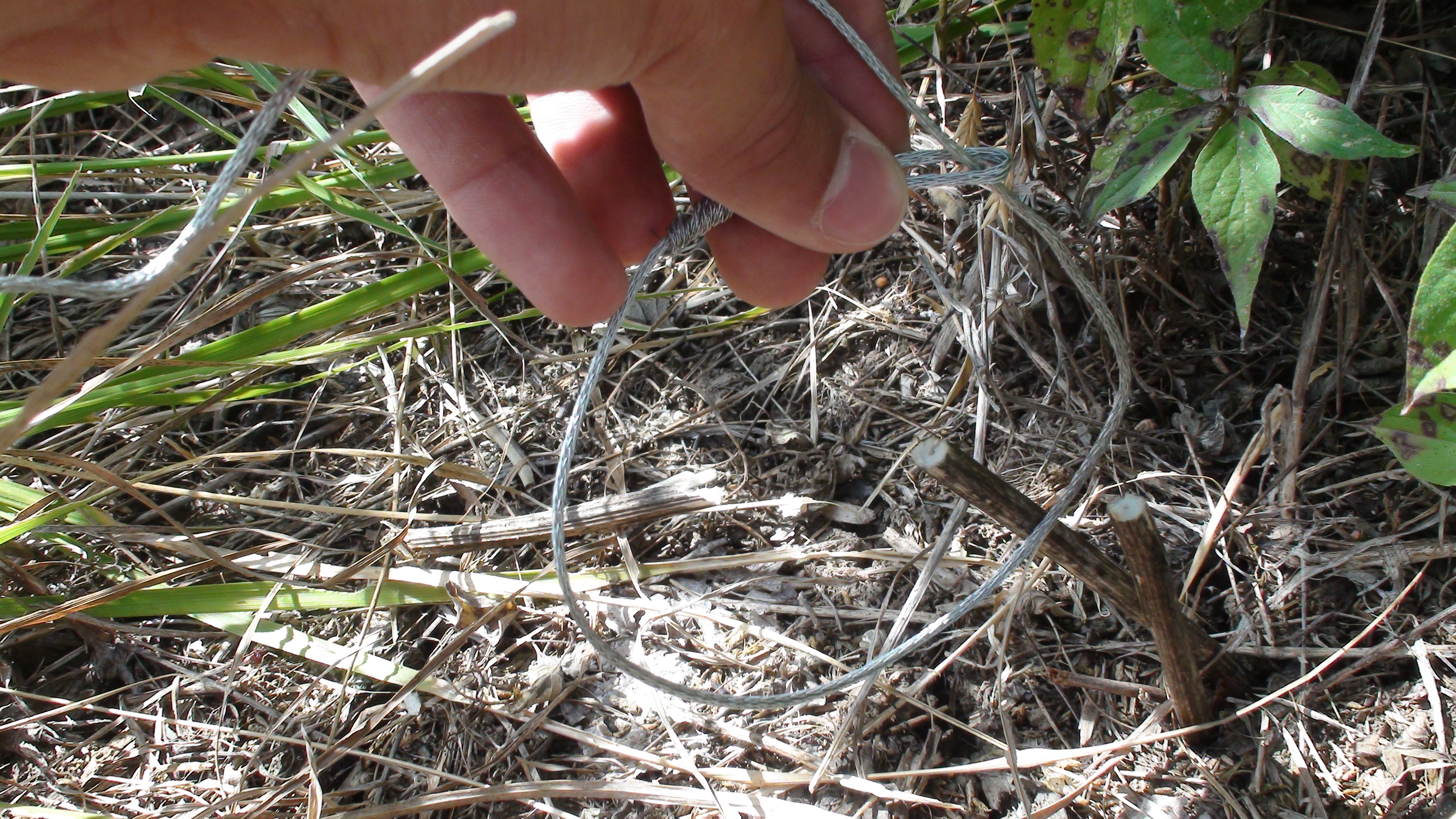 Rabbit Snare 6 Steps Instructables - Retina Gradient Textures for Desktop