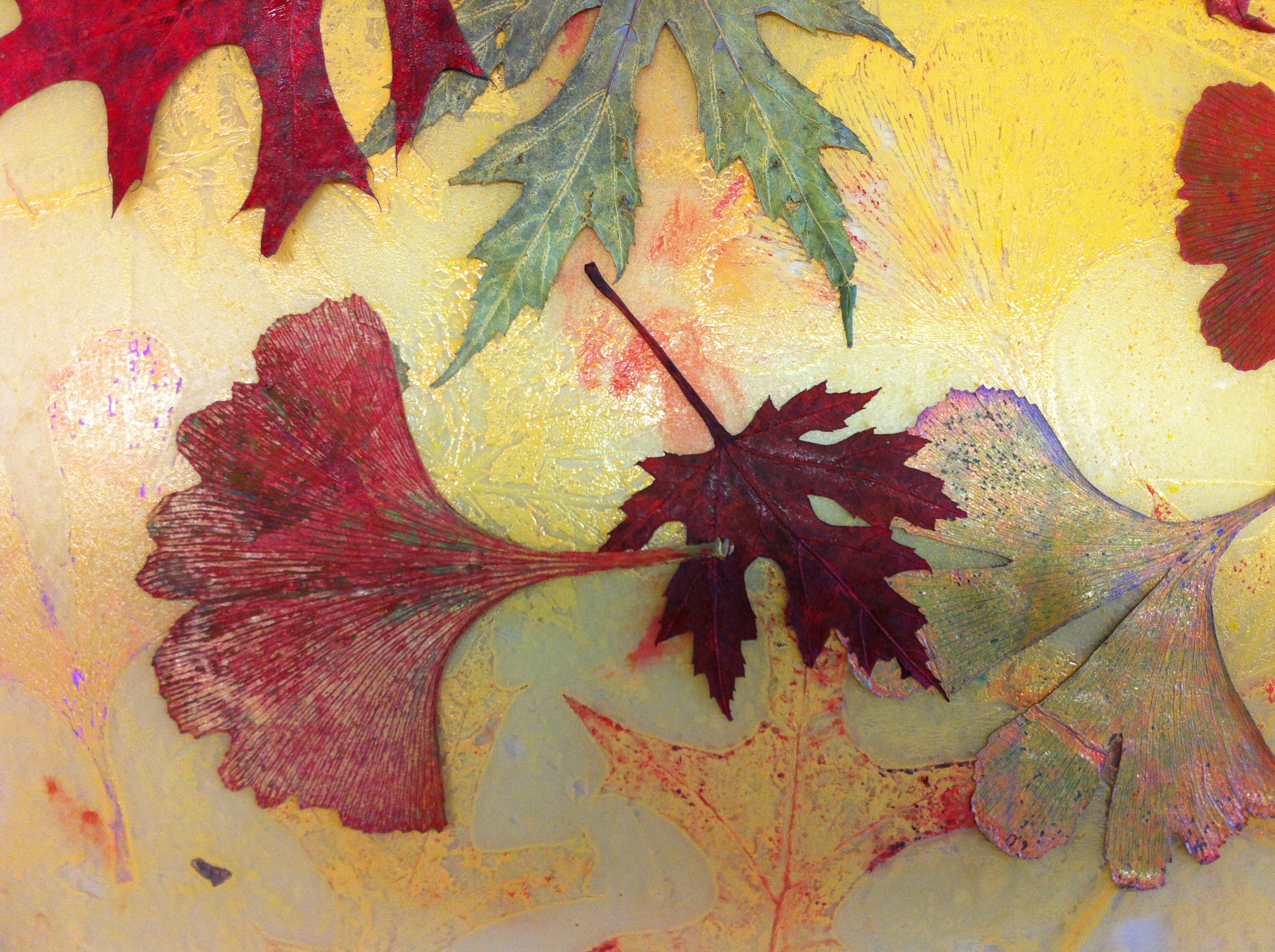 Leaf Prints 18 Steps Instructables - Elegant 4K Sunset Wallpapers | Free Download