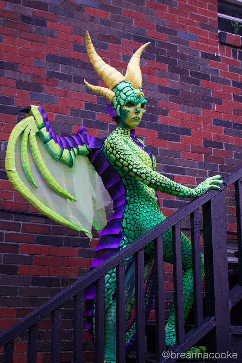 Dragon Costume Mcmodels - City Texture Collection - High Resolution Quality