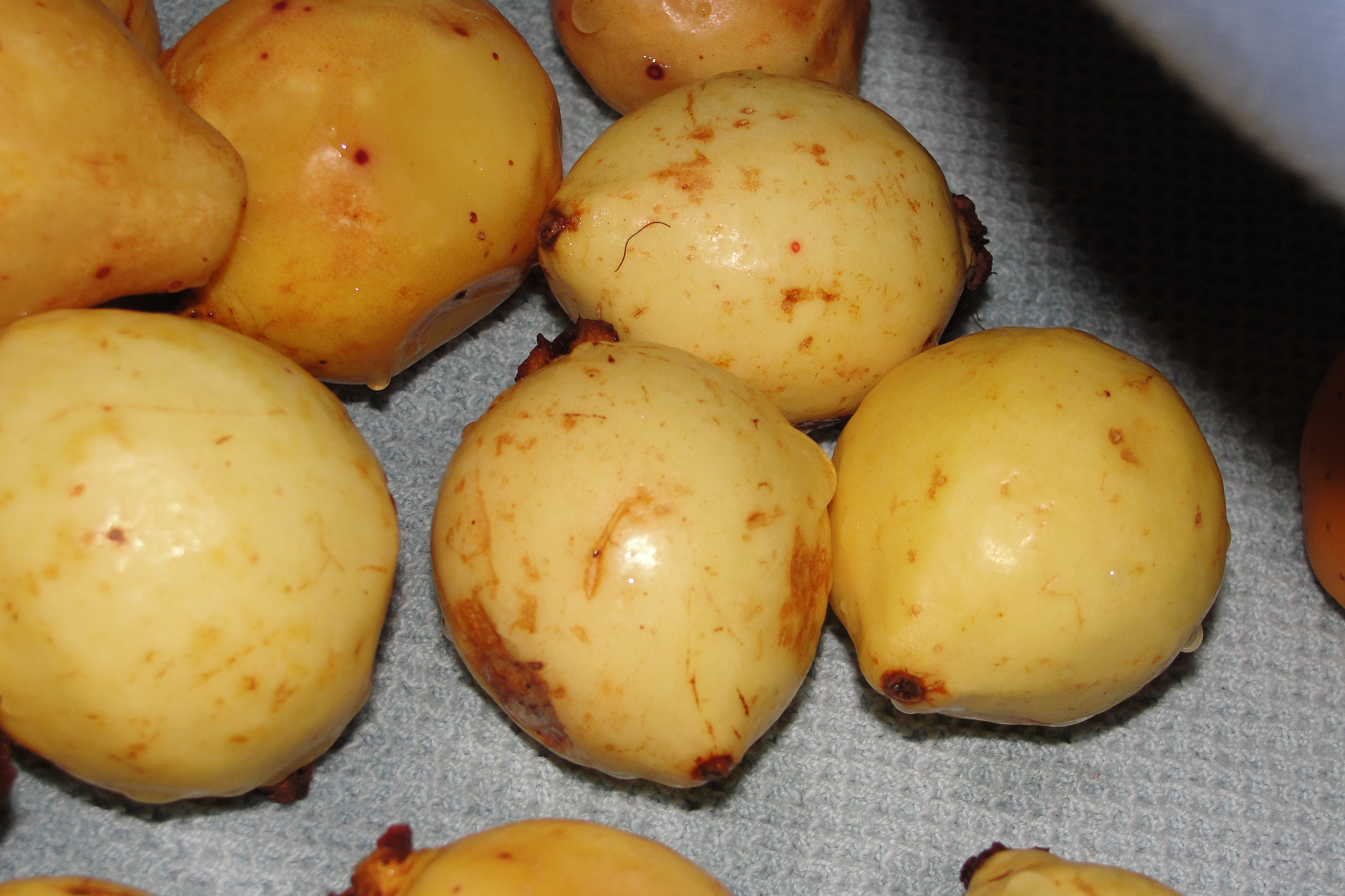 Tropical Fruit Punch Mocktail 3 Steps Instructables - Download Professional Colorful Background | Retina