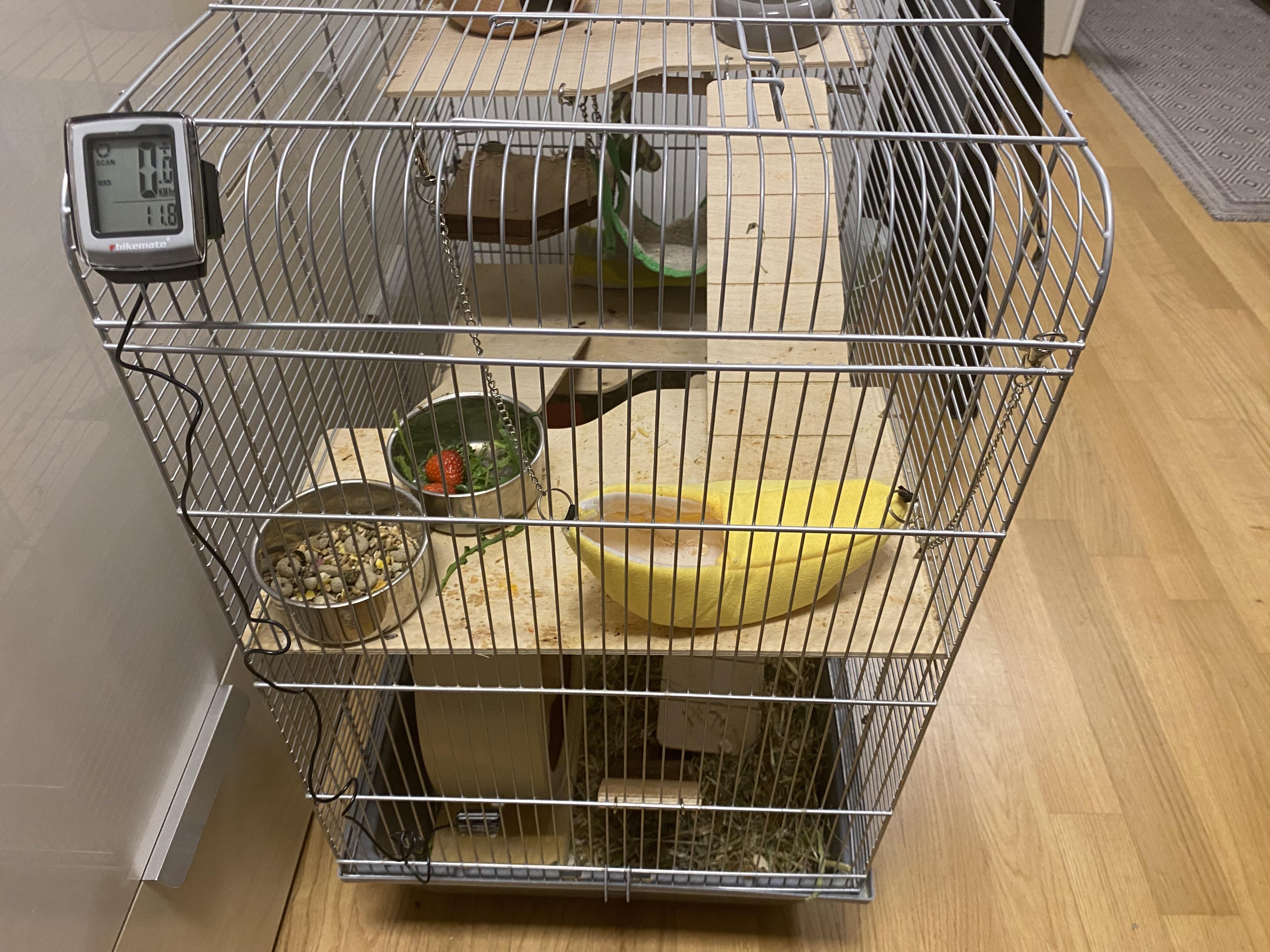 Hamster Wheel Tracker 7 Steps Instructables - Download Professional Minimal Picture | HD