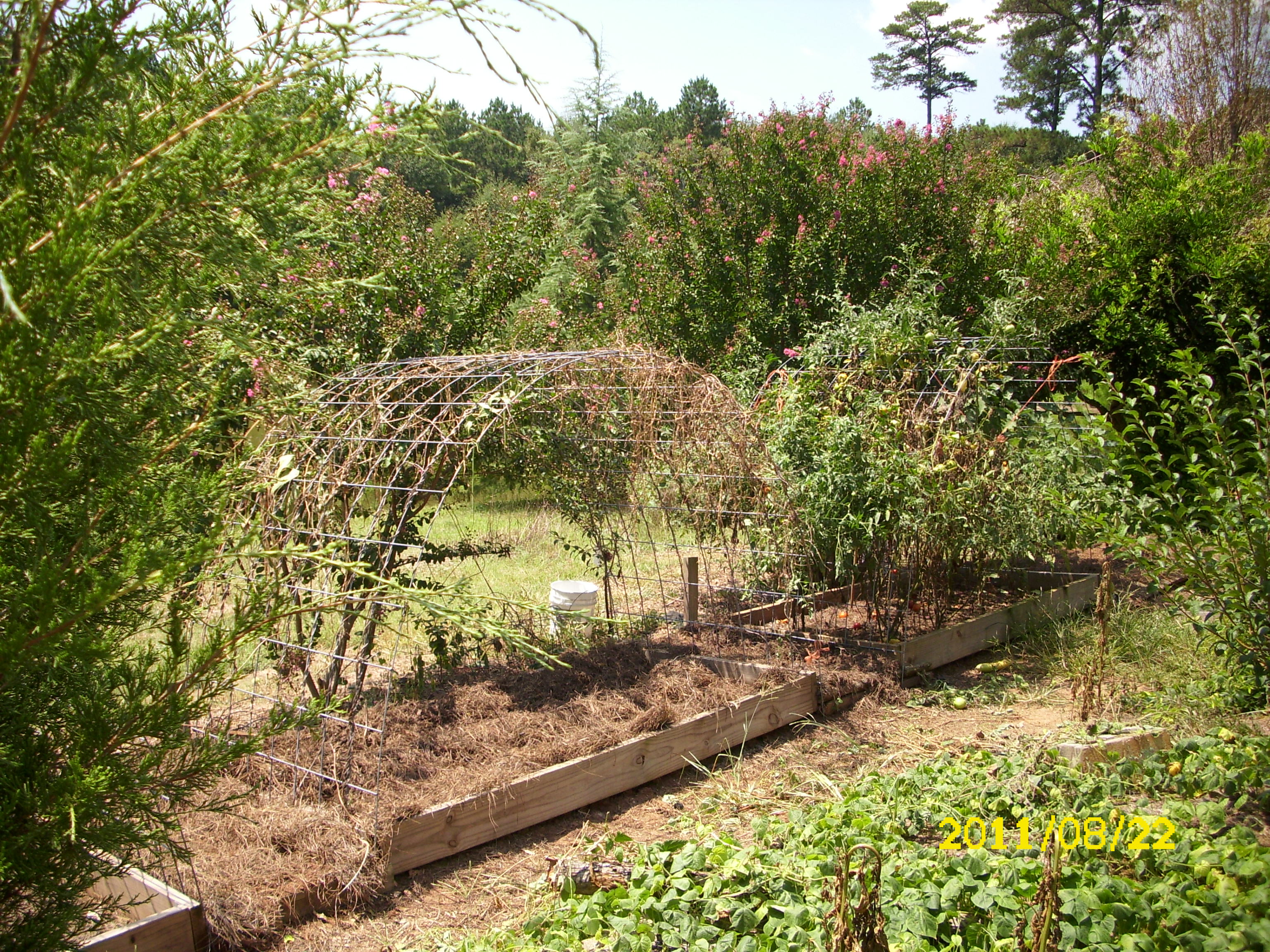 Simple Arbor Instructables - Download Stunning Vintage Photo | Retina