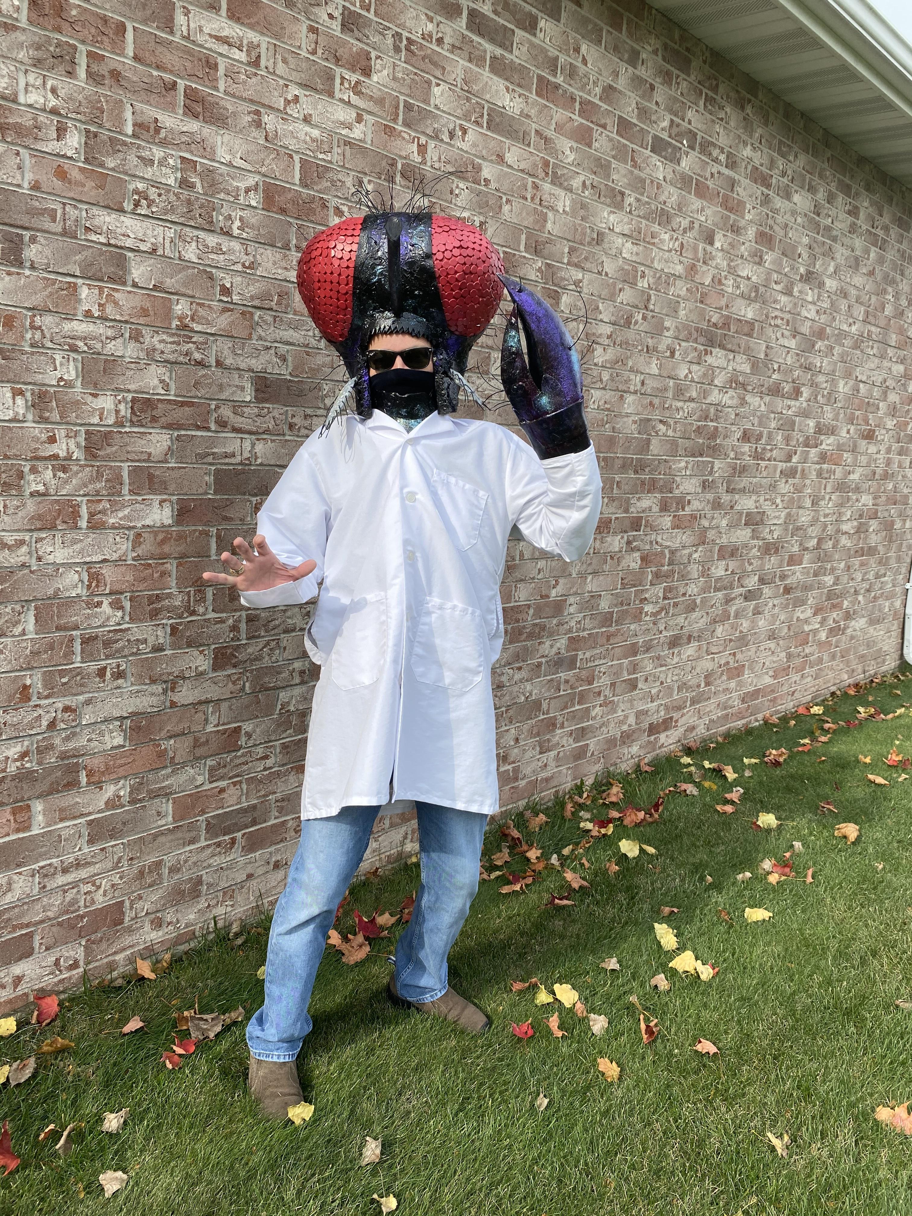 The Fly 4 Steps Instructables - Gradient Wallpapers - Ultra HD Retina Collection