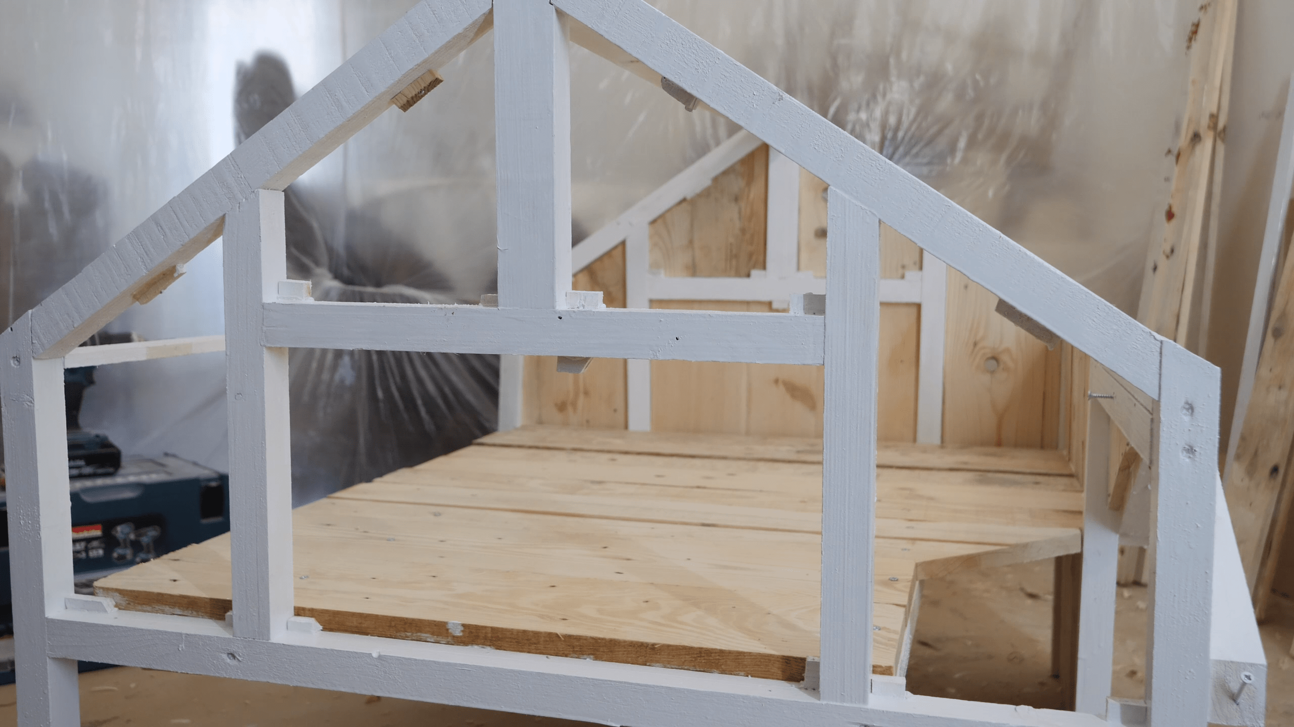 The most luxurious stray cat shelter