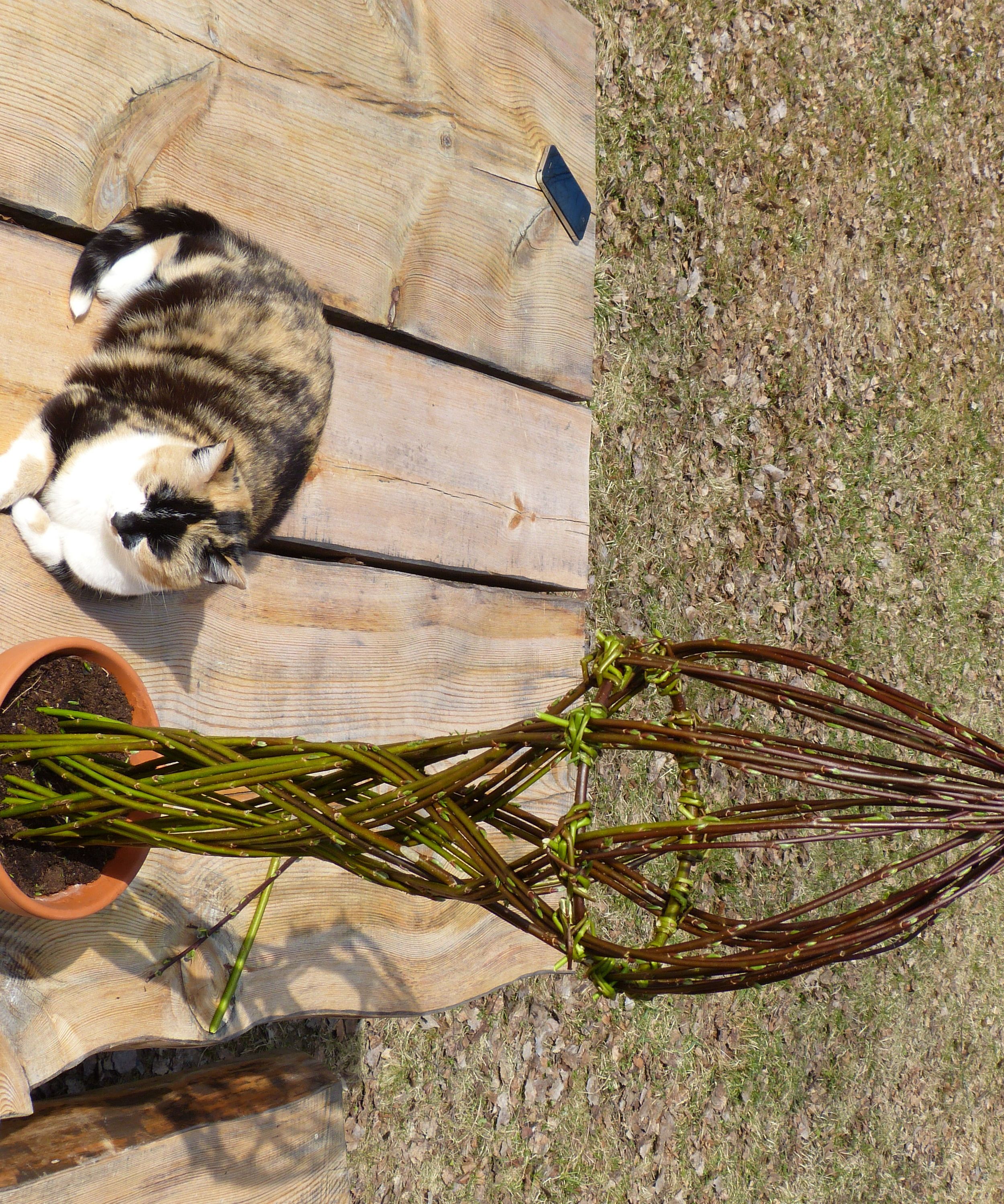 The Willow Project The Columns - Amazing Sunset Image - Ultra HD