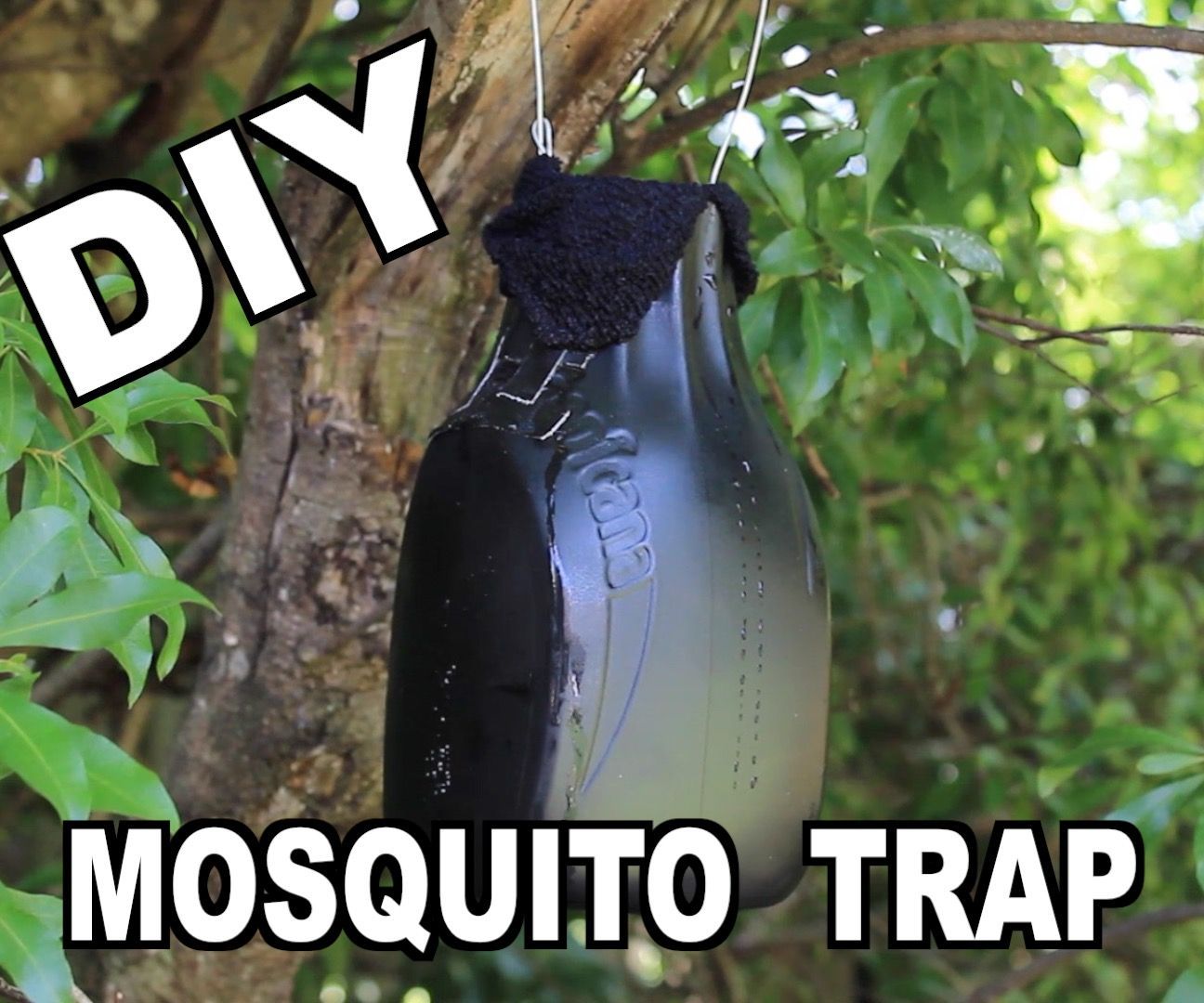 Mosquito Instructables - Mountain Design Collection - Full HD Quality