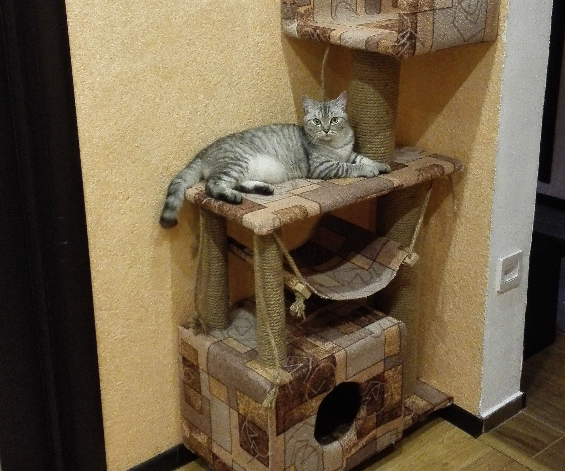 Cathouse - Mobile Abstract Designs for Desktop