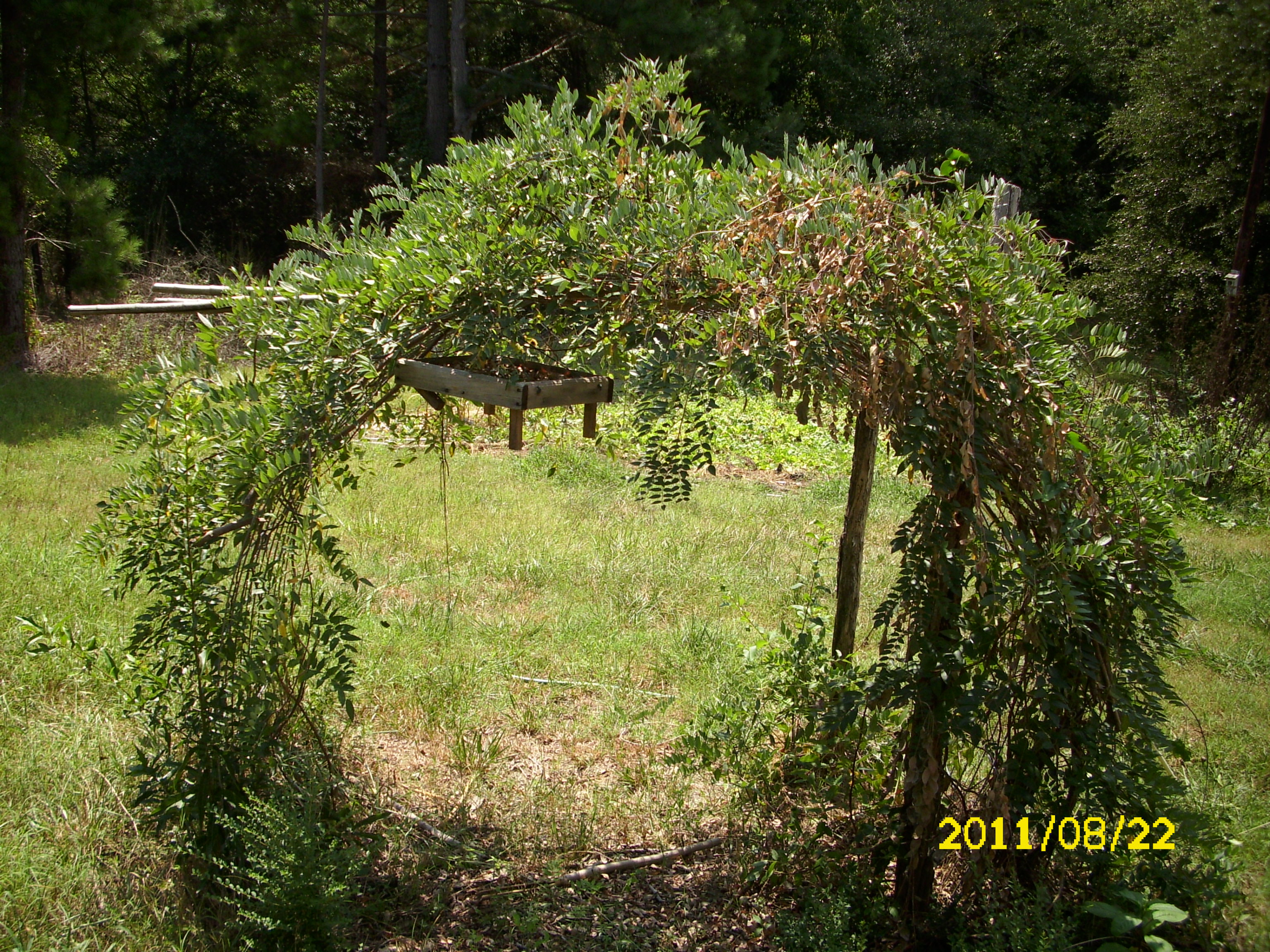 Simple Garden Arbor 4 Steps Instructables - Ocean Illustrations - Perfect Retina Collection