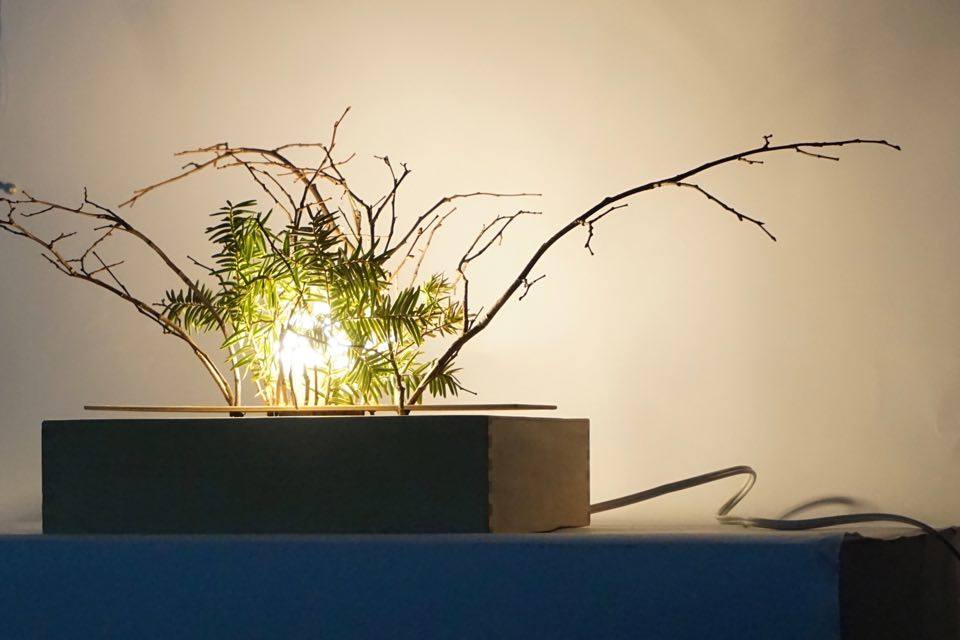 Forest Lamp 3 Steps Instructables - Premium Light Picture Gallery - Mobile