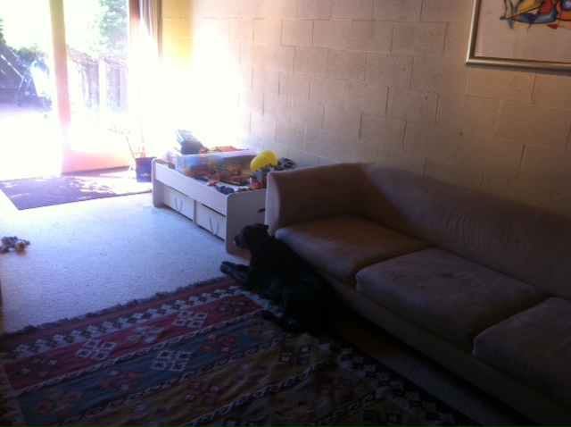 Ikea Contest Entry Instructables - Premium Gradient Pattern Gallery - Retina