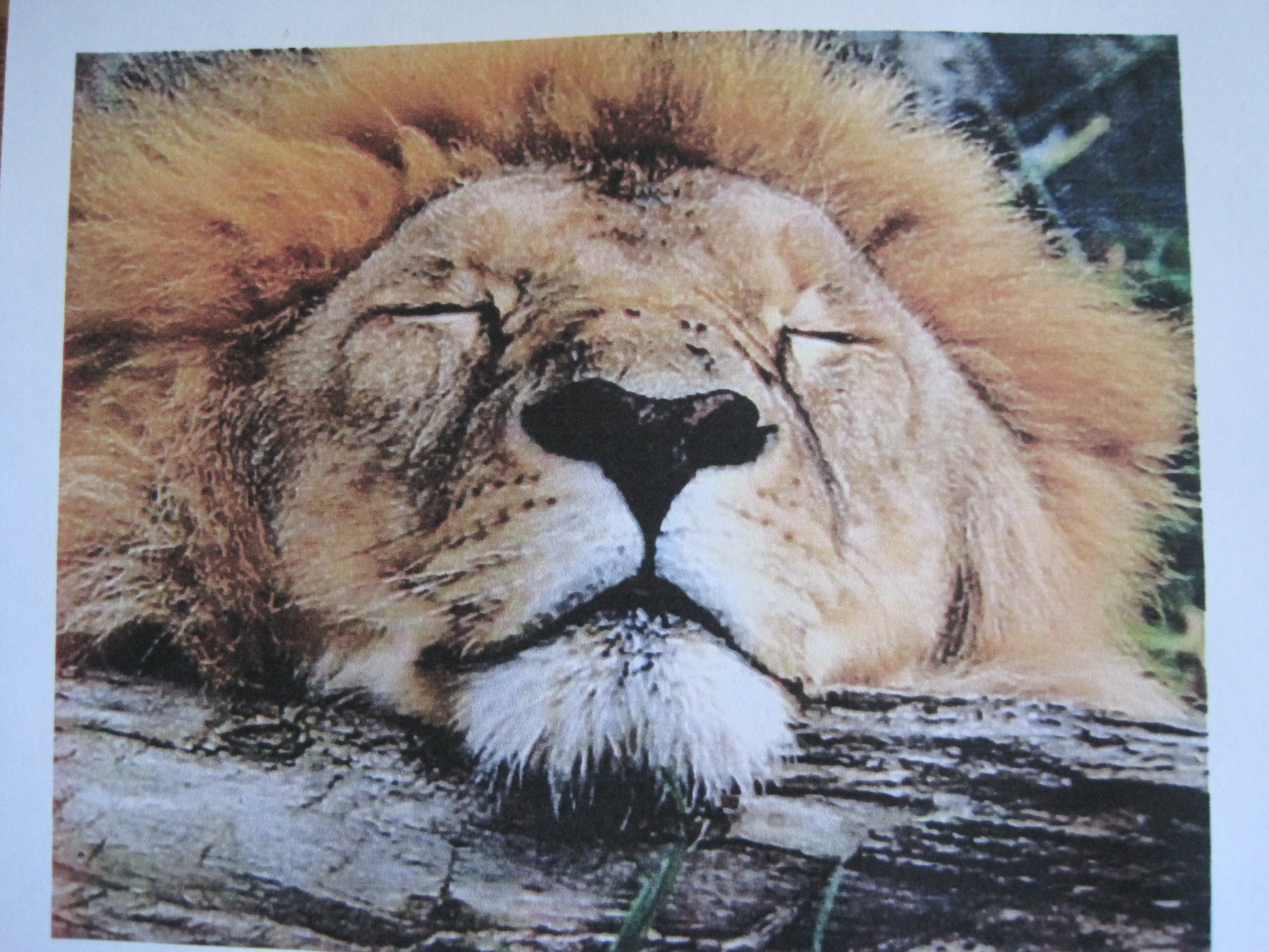 Personalized Cards 6 Steps Instructables - High Quality Vintage Picture - Full HD