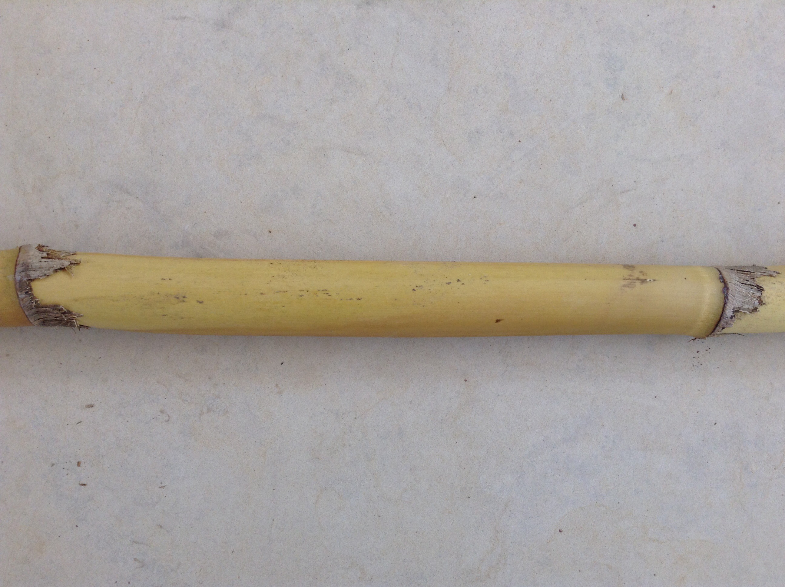 Bamboo Ring 10 Steps Instructables - Abstract Arts - Classic 4K Collection