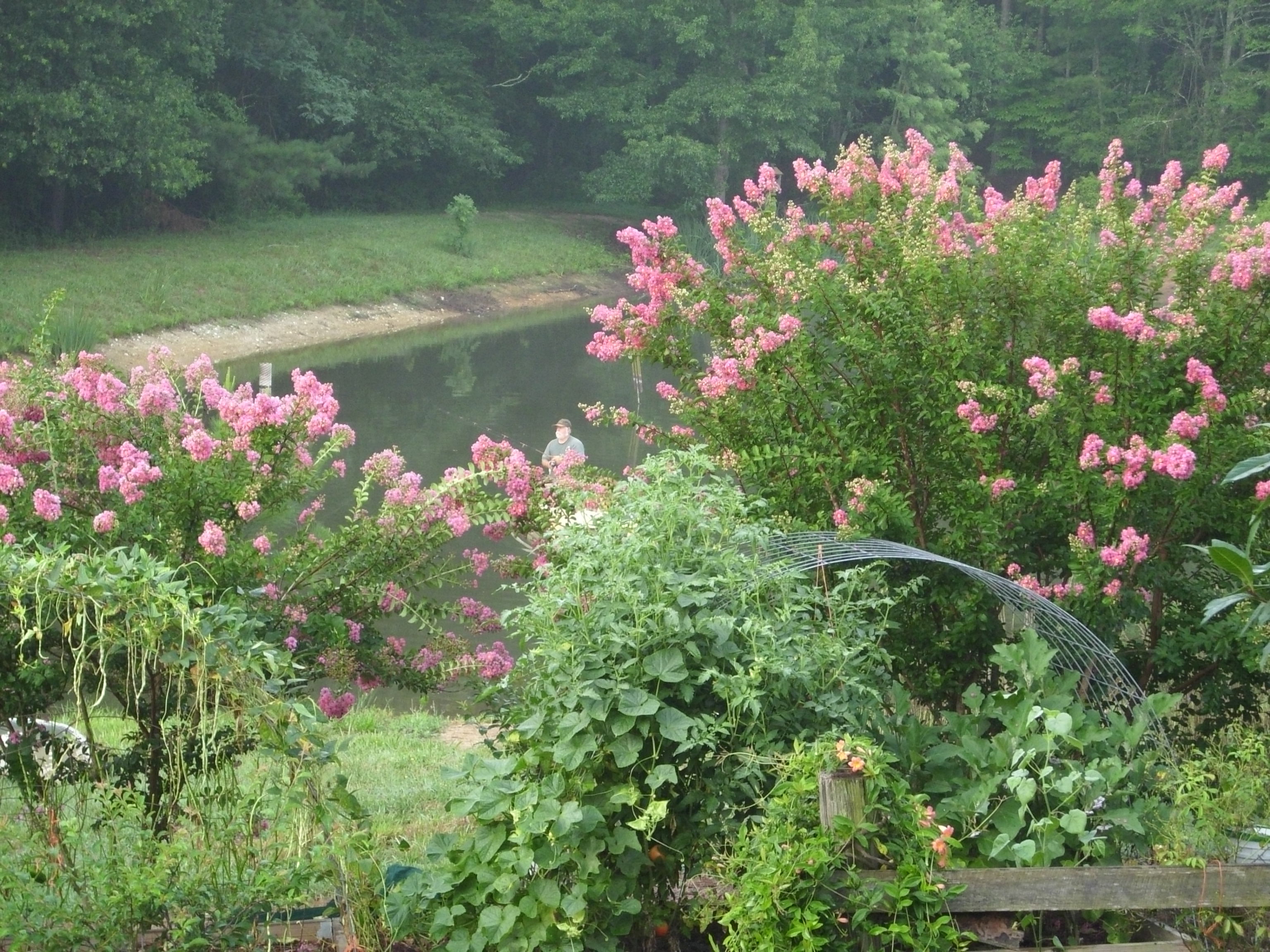 Simple Arbor Instructables - Best Vintage Patterns in Full HD