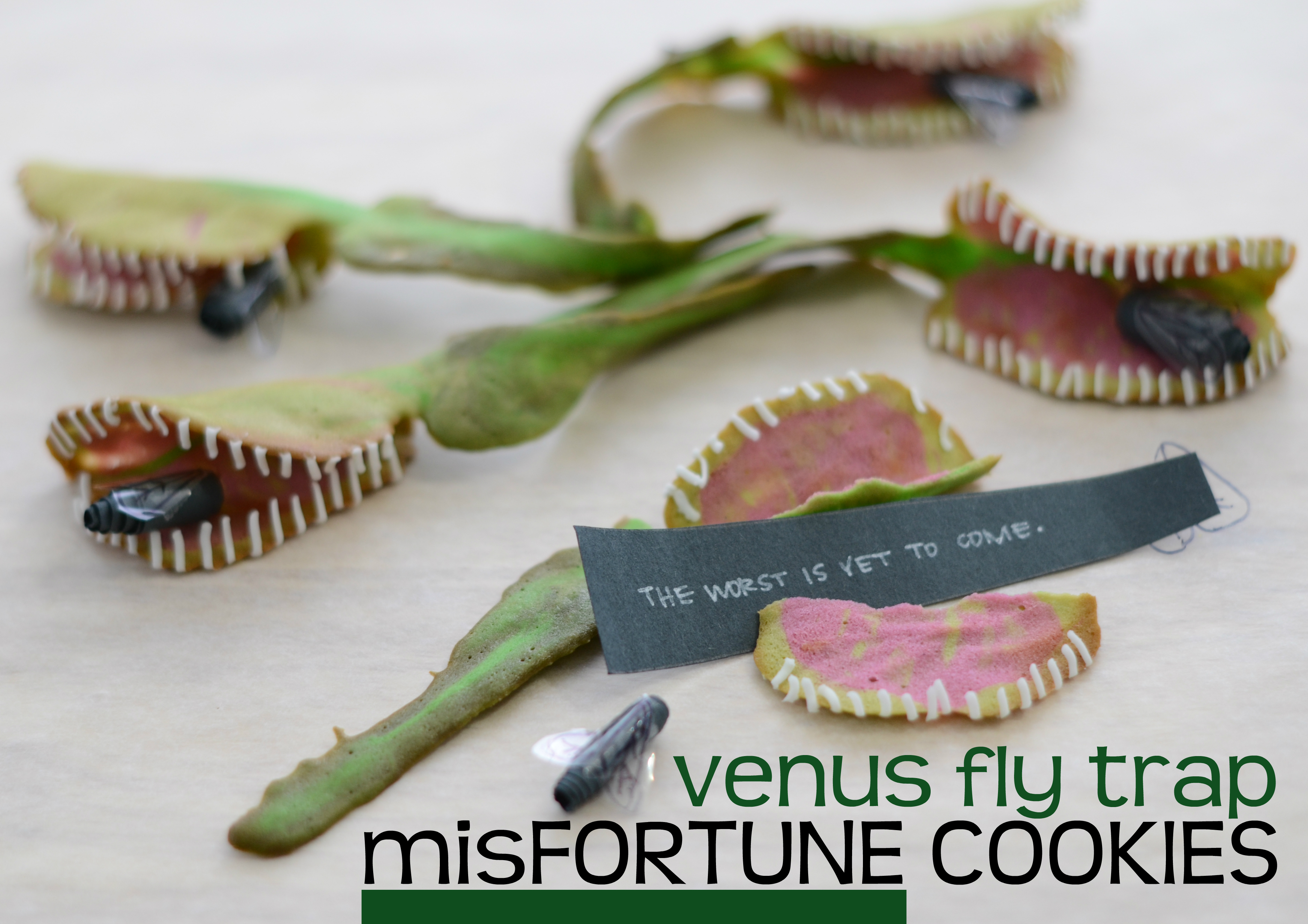 Venus Flytrap Cookie 20 Usd On Toyhouse - High Quality Abstract Illustration - Retina