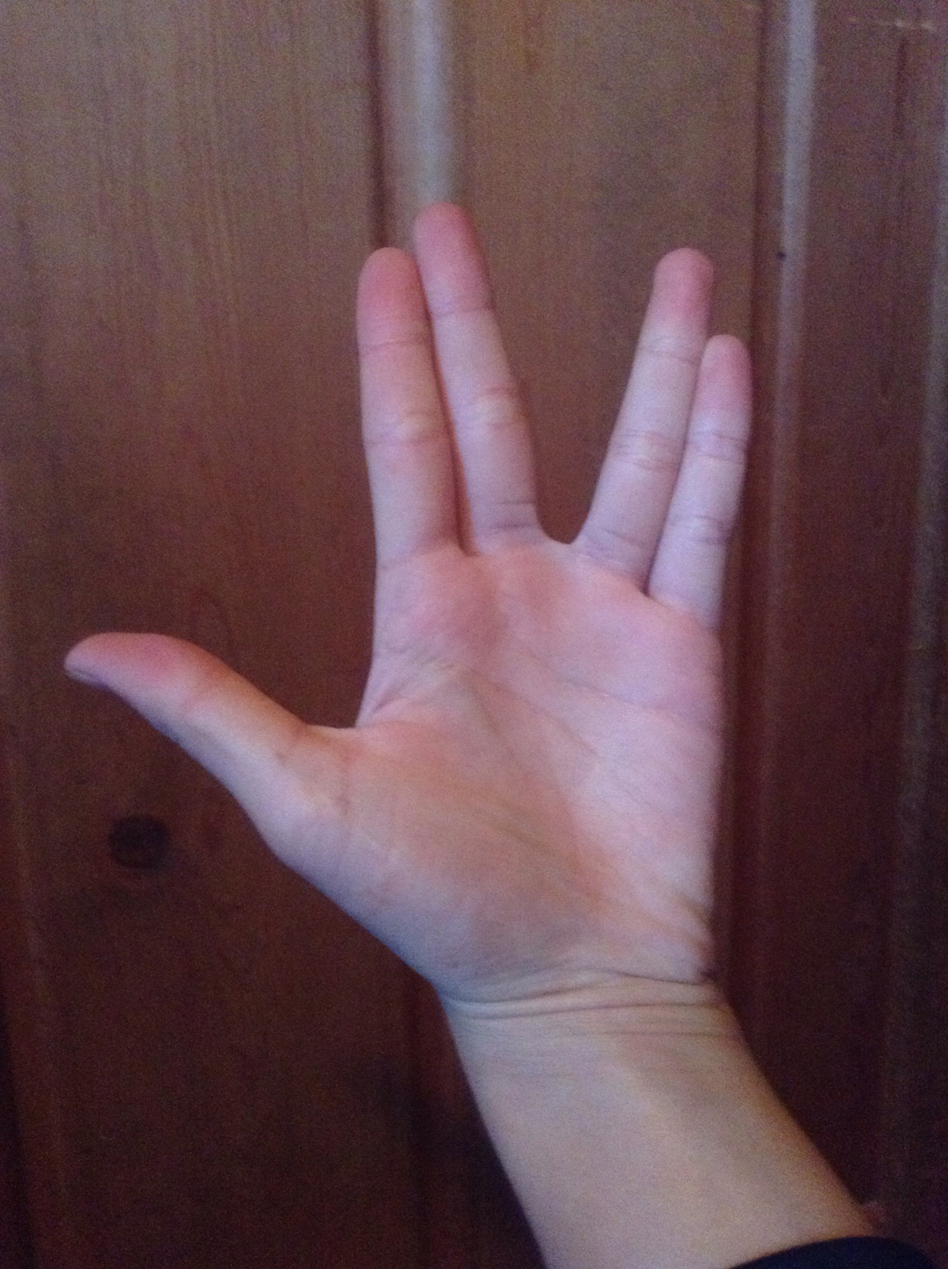 Lexica Snake Hands - Professional Nature Design - Retina