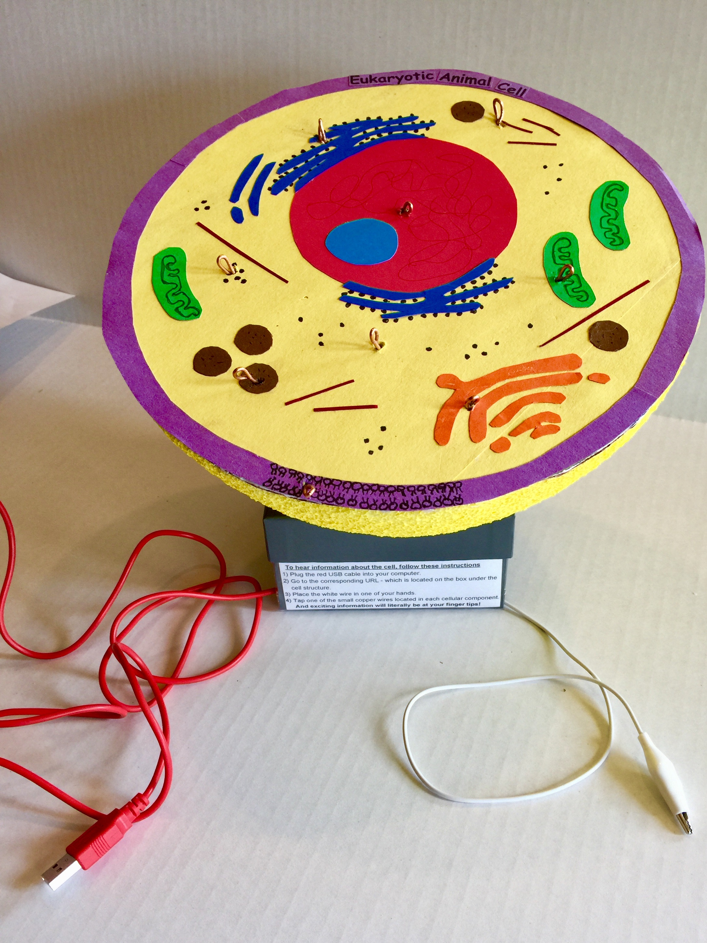 Interactive Cell Model - Premium Geometric Image Gallery - Ultra HD