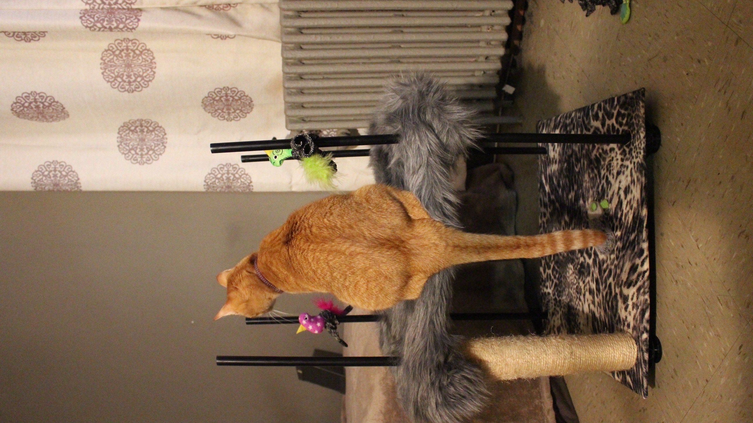 Diy cat tower hack (with pictures)