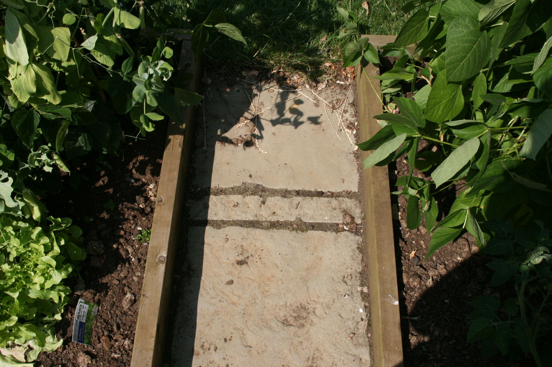 Vegetable Patch 6 Steps With Pictures Instructables - Premium Abstract Art Gallery - 8K