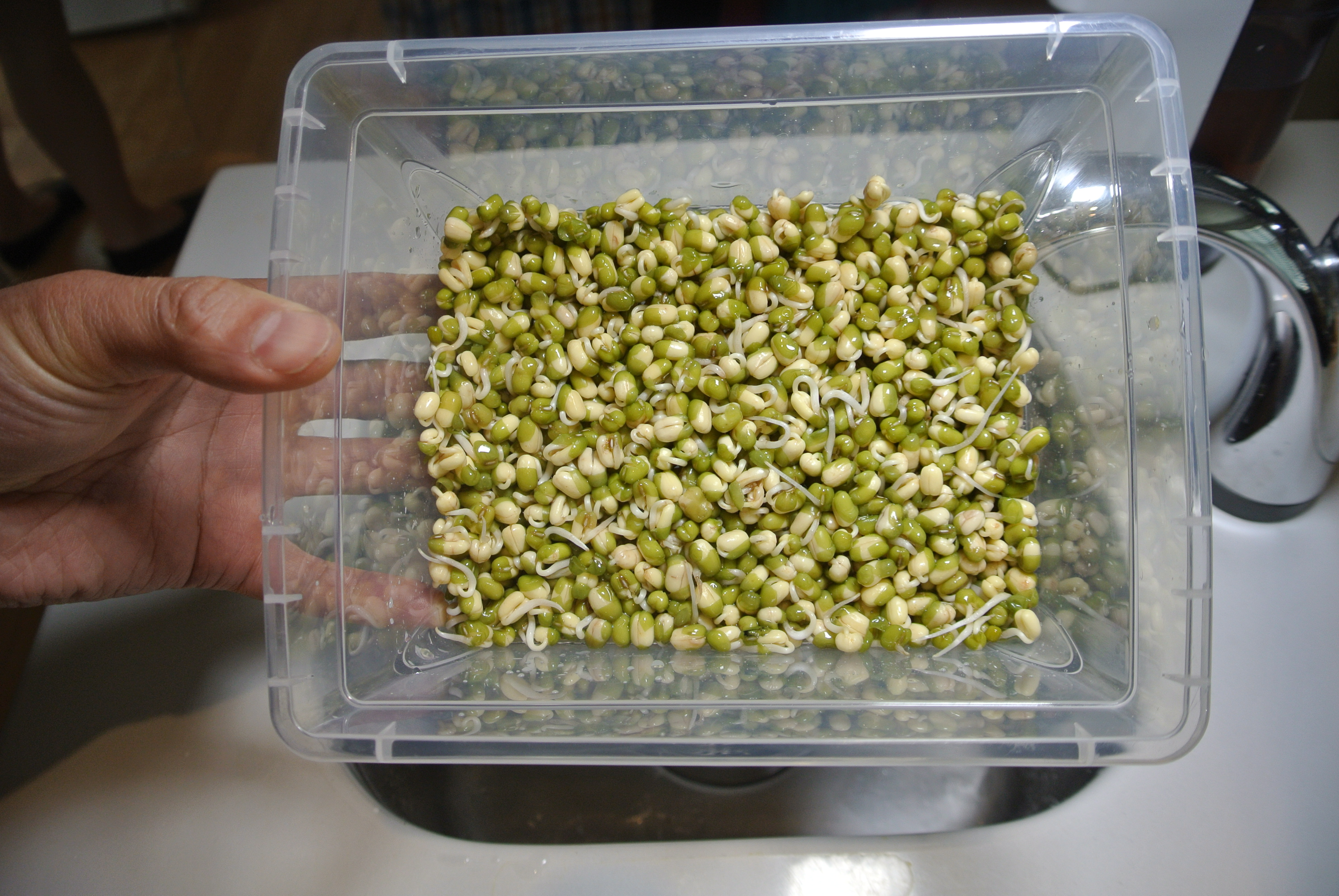 Growing - Geometric Patterns - Amazing Retina Collection