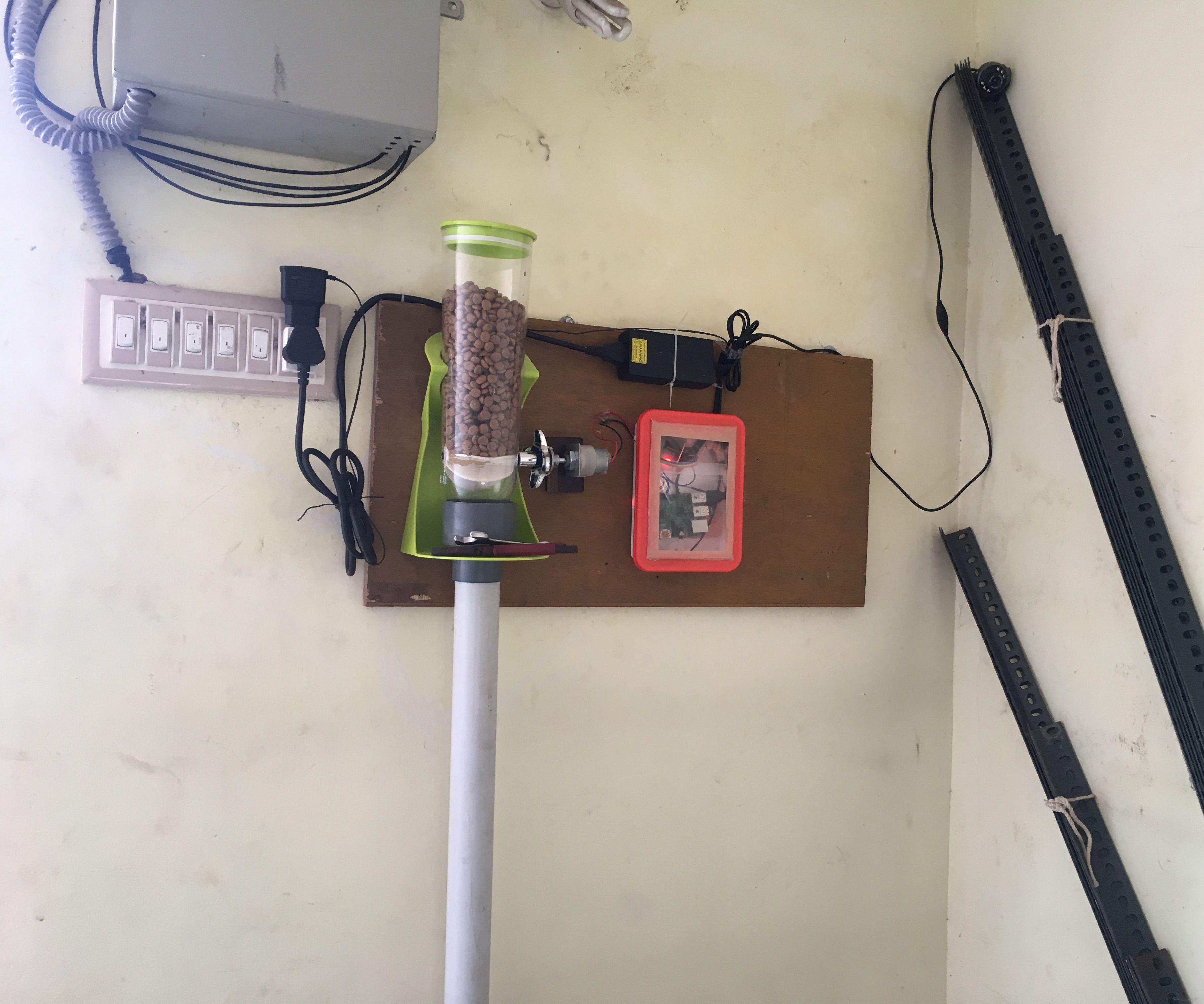 Wip Pi Powered Automatic Dog Feeder R Raspberry Pi - Ultra HD Light Texture - Full HD