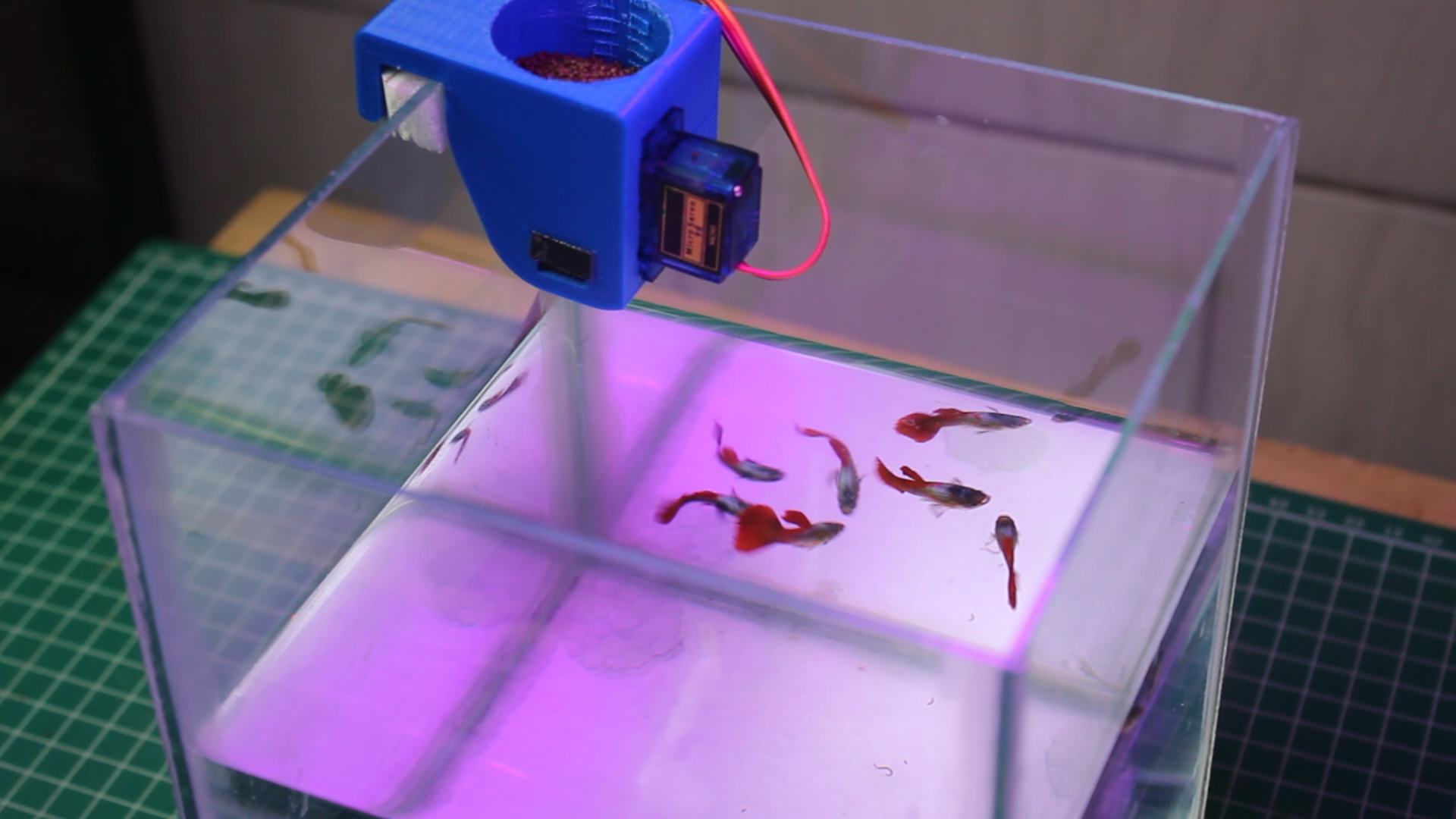 Automatic Fish Feeder Using Arduino Nano 8 Steps With Pictures - City Art Collection - Desktop Quality