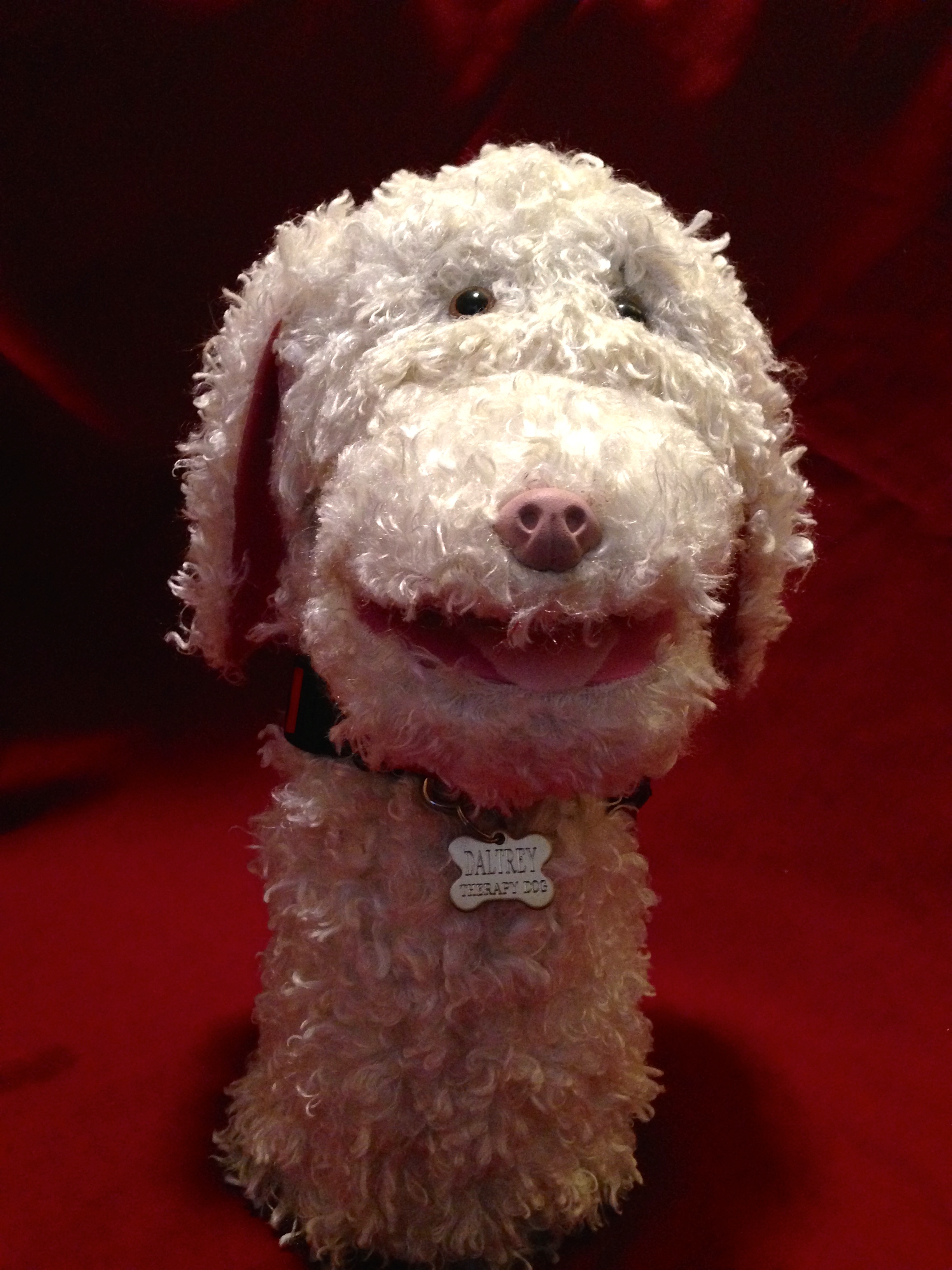 Custom Dog Puppet Operation Puppet - Incredible HD Dark Images | Free Download