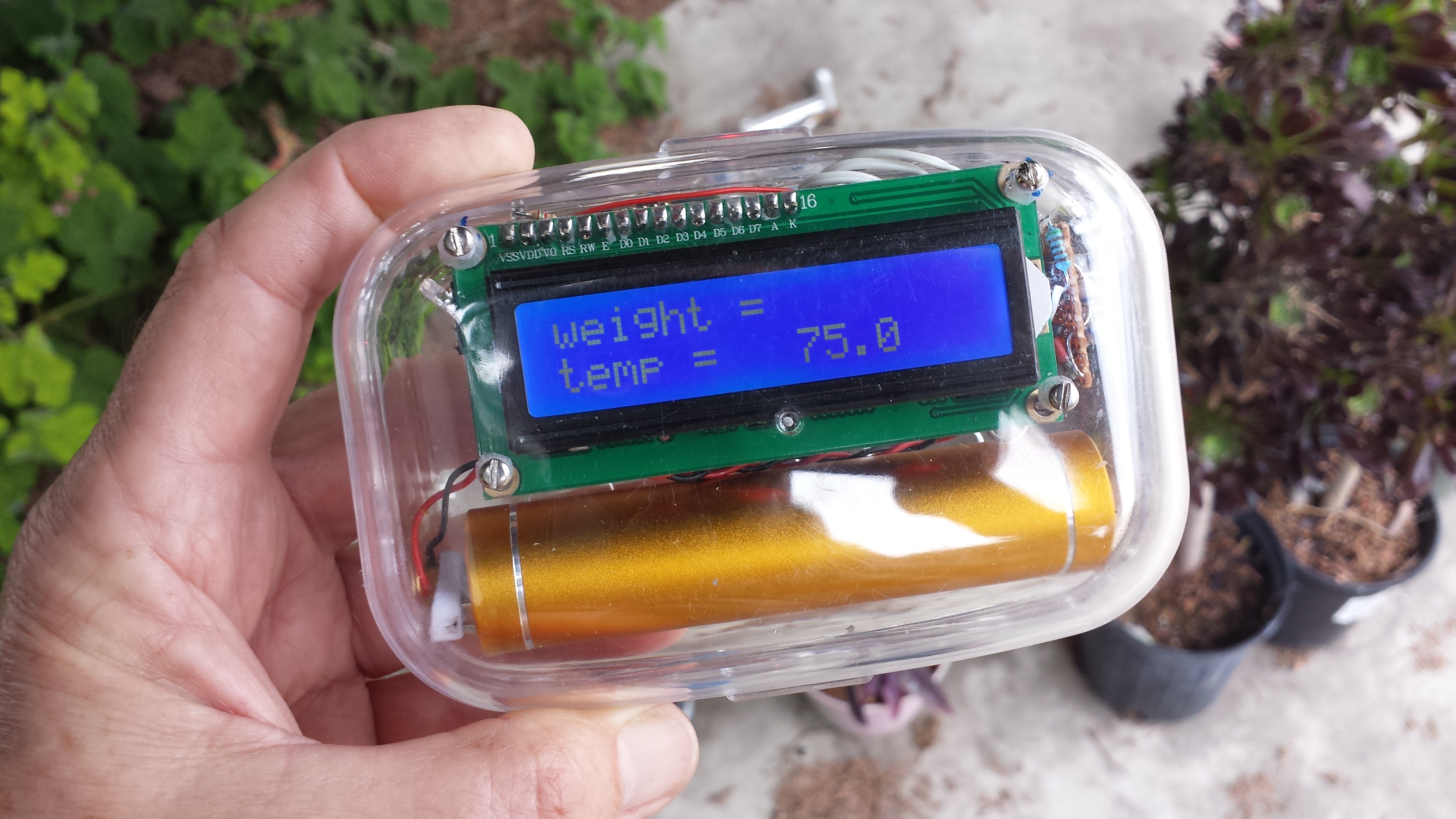 Wireless Digital Scale Jpralves Net - Sunset Illustration Collection - HD Quality