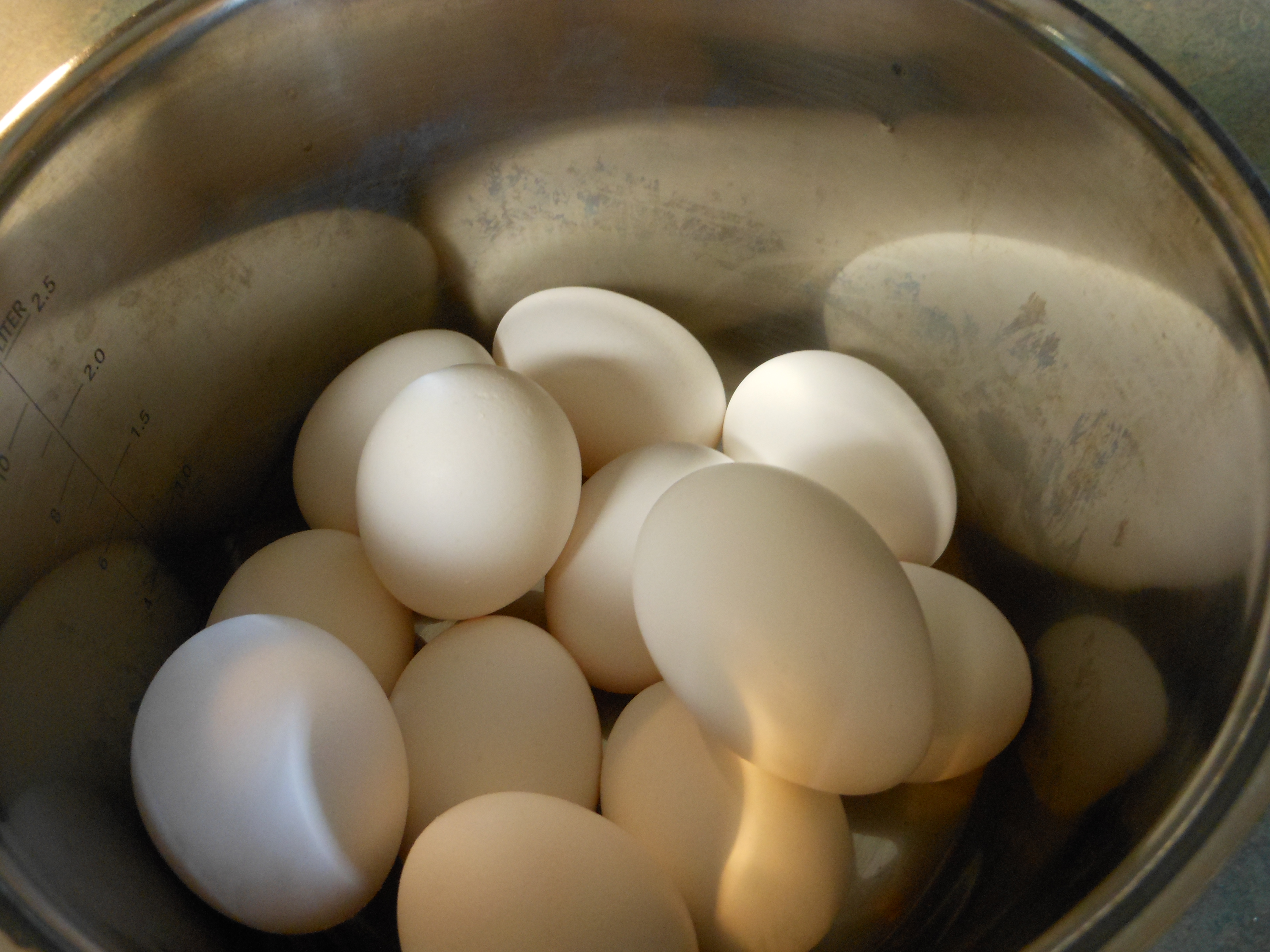 Rainbow Dyed Deviled Eggs 13 Steps Instructables - Mountain Texture Collection - 4K Quality