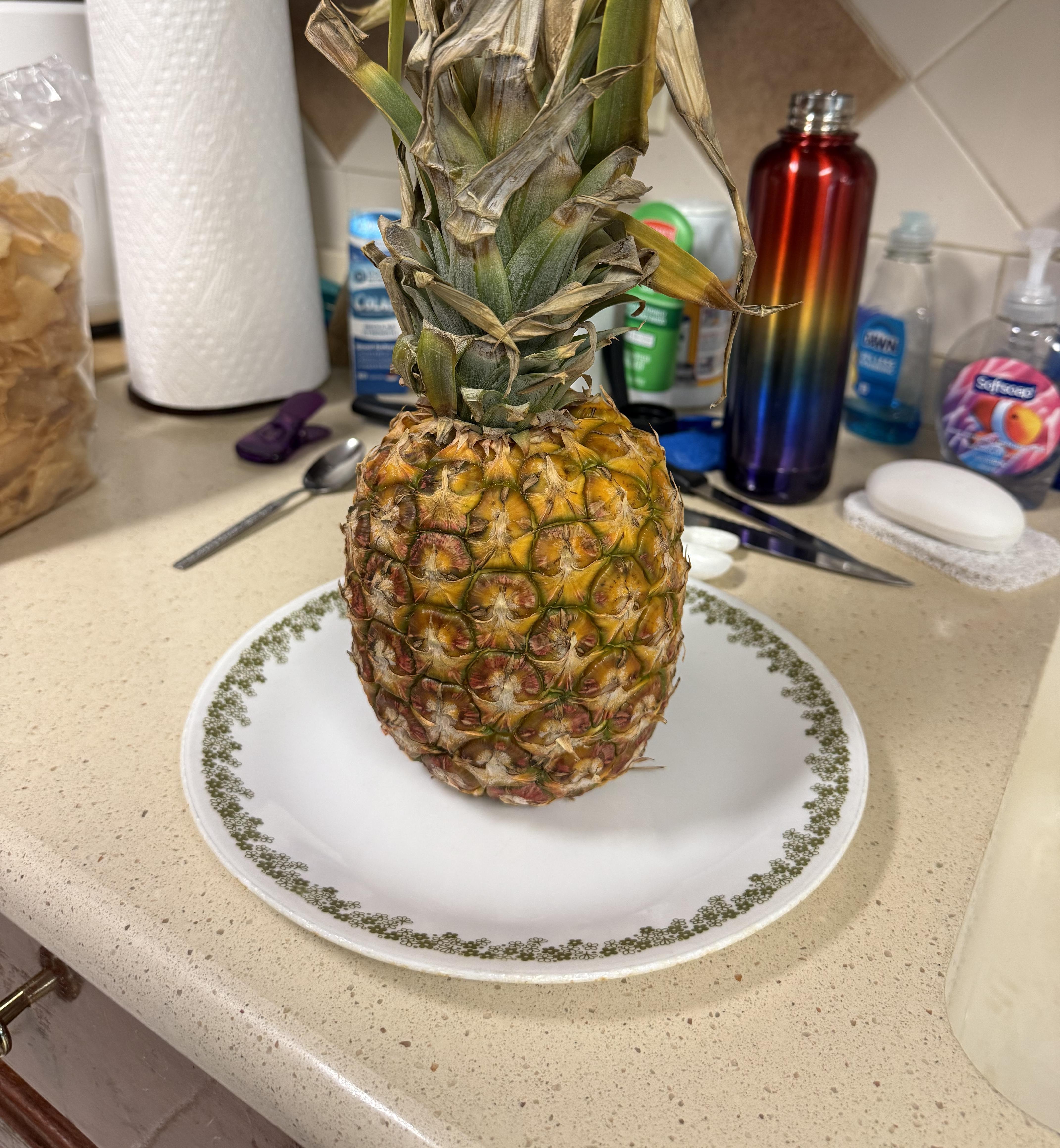How To Prepare Pineapple - Vintage Design Collection - Full HD Quality