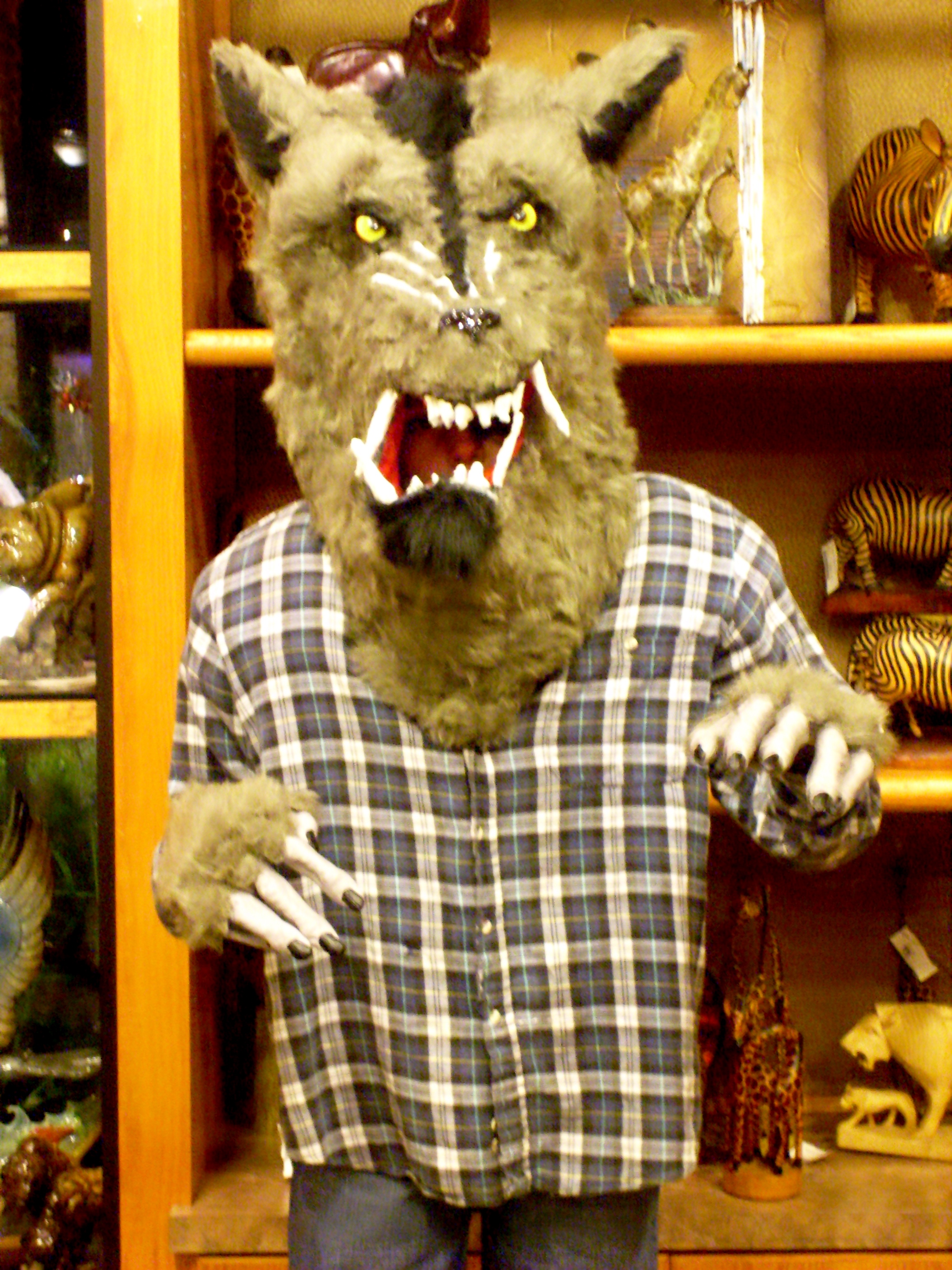 Halloween 2011 Instructables - Premium Nature Photo Gallery - Desktop