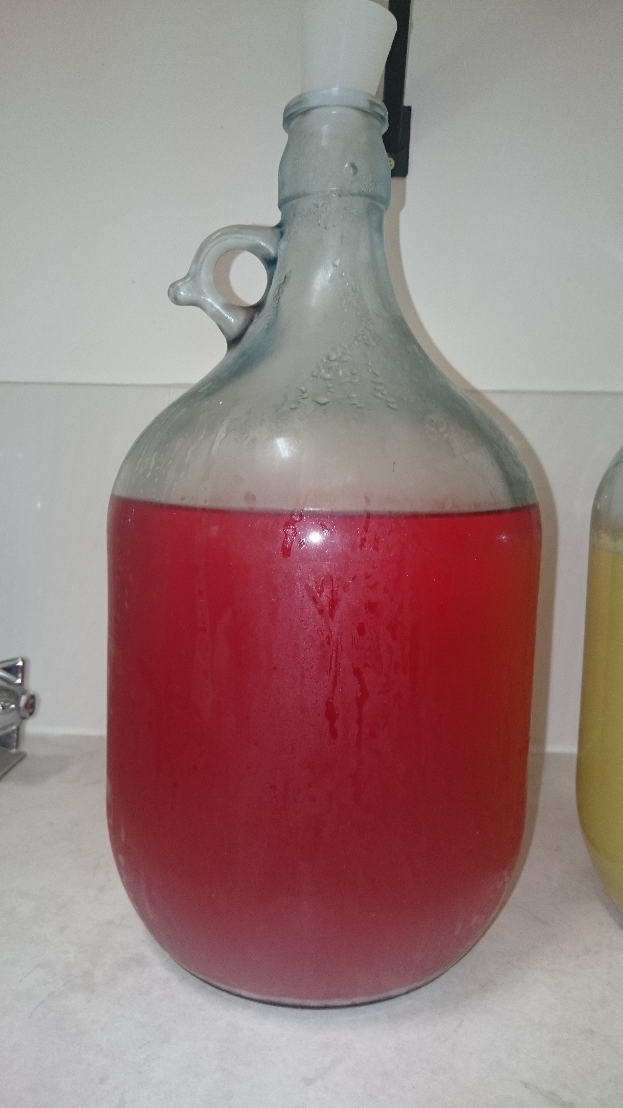 raspberry mead 8 steps with pictures - instructables on raspberry mead recipe 1 gallon