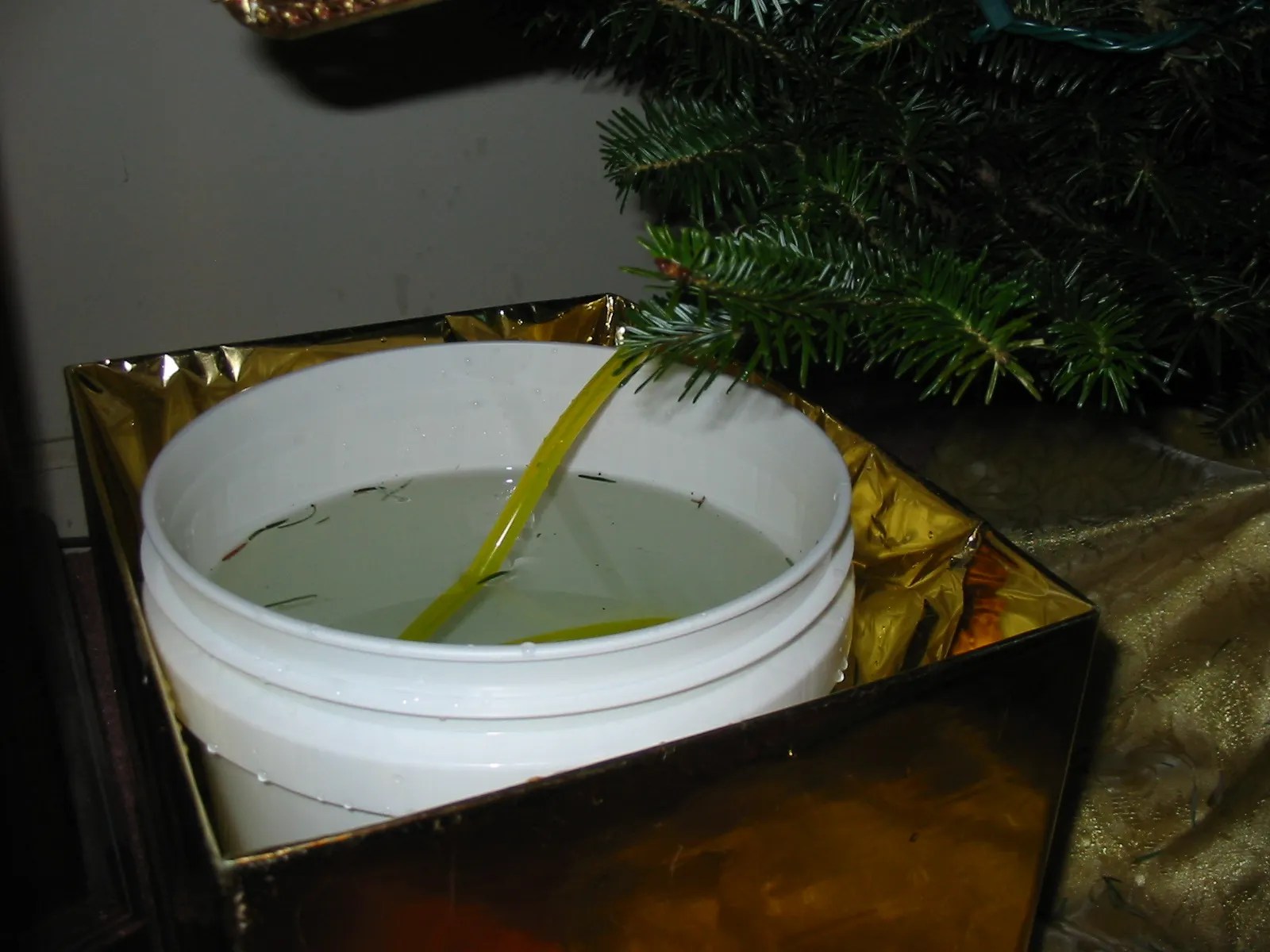 Either bring the pot indoors, or carefully dig up your tree to pot it and bring it in. Make A Hidden Christmas Tree Watering System 7 Steps With Pictures Instructables
