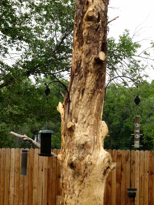 Bristol University Conservation Group