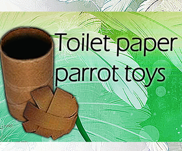 picture Paper Diy Parrot Toys instructables