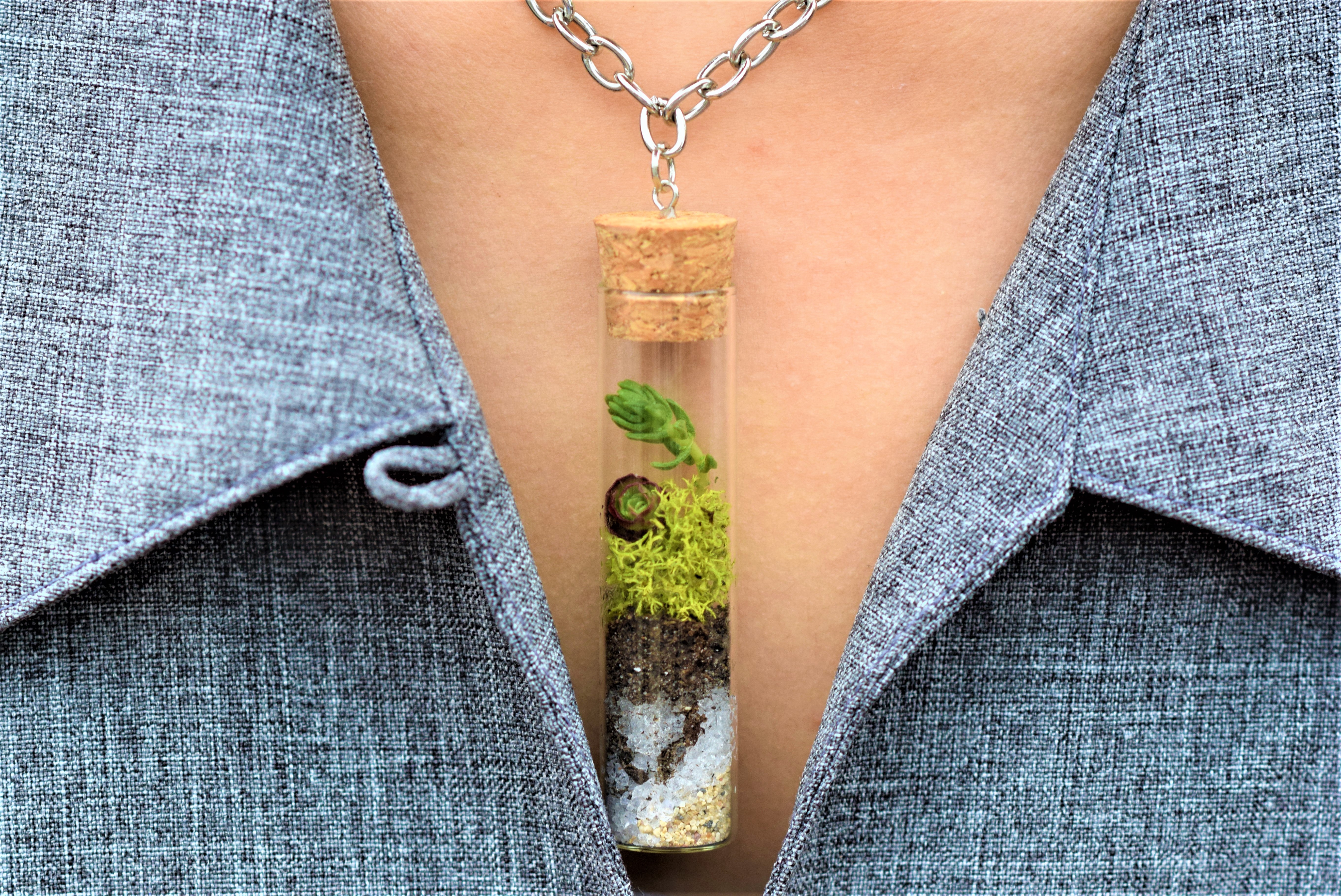 Succulent plants with their happy, spread open leaves, just soaking in the sun make. Succulent Terrarium Necklace 8 Steps With Pictures Instructables